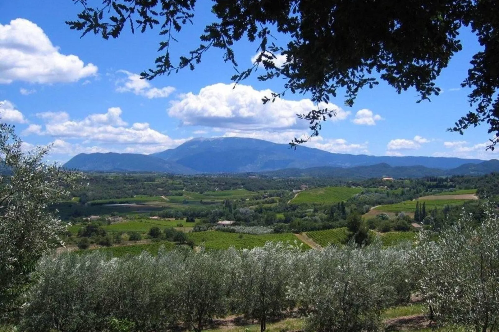 Ferienhaus in Vaison-la-Romaine-Areas within 20km in summer