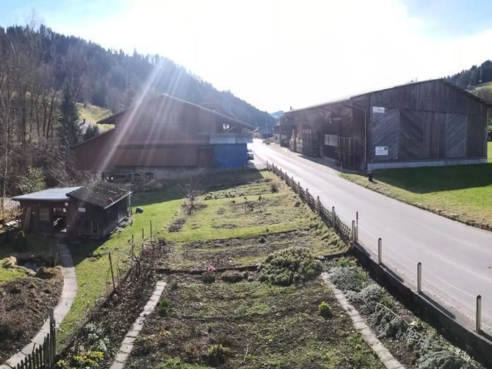 Karotte - Image-tags.info