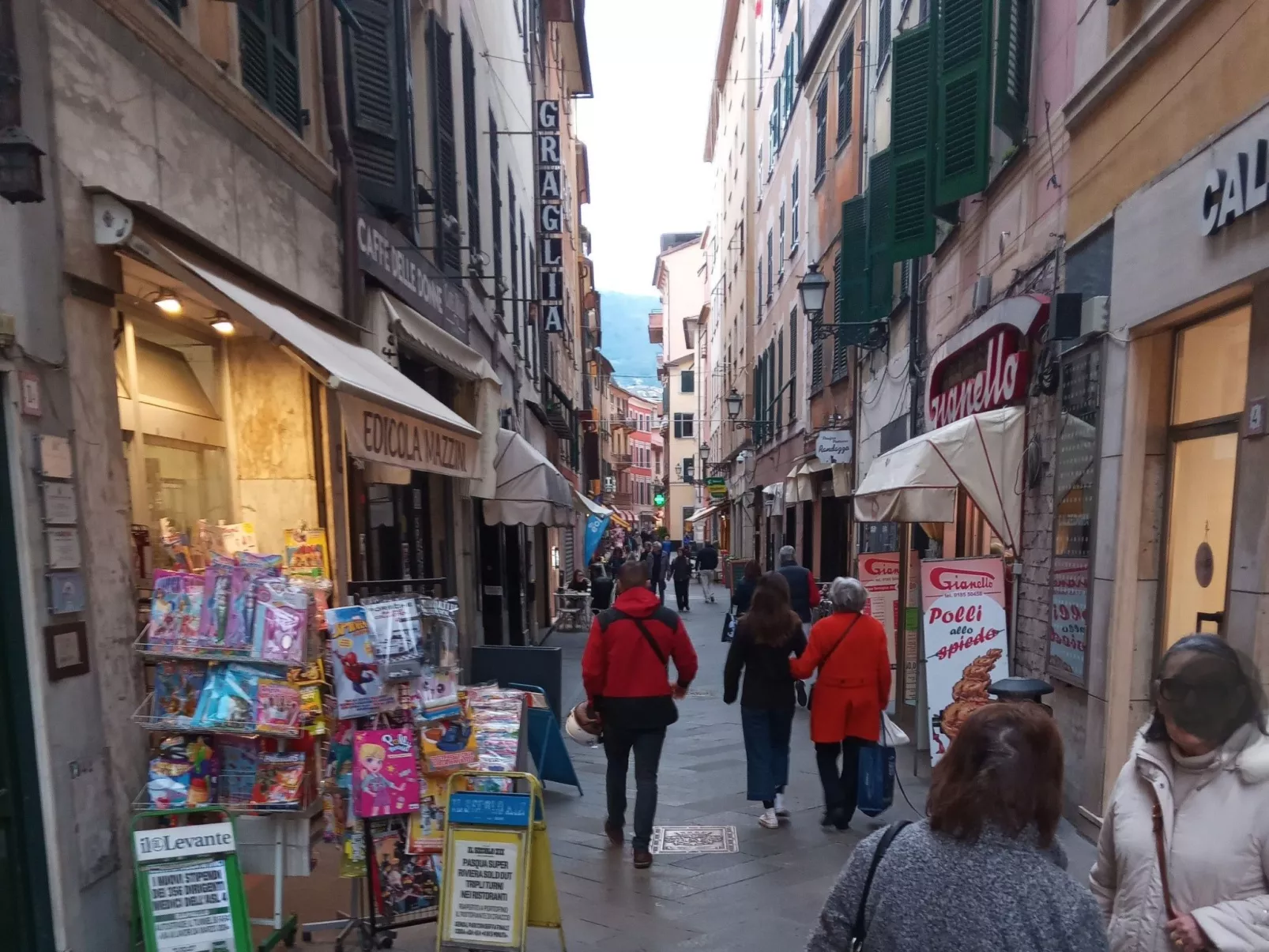 Seestern - Image-tags.info