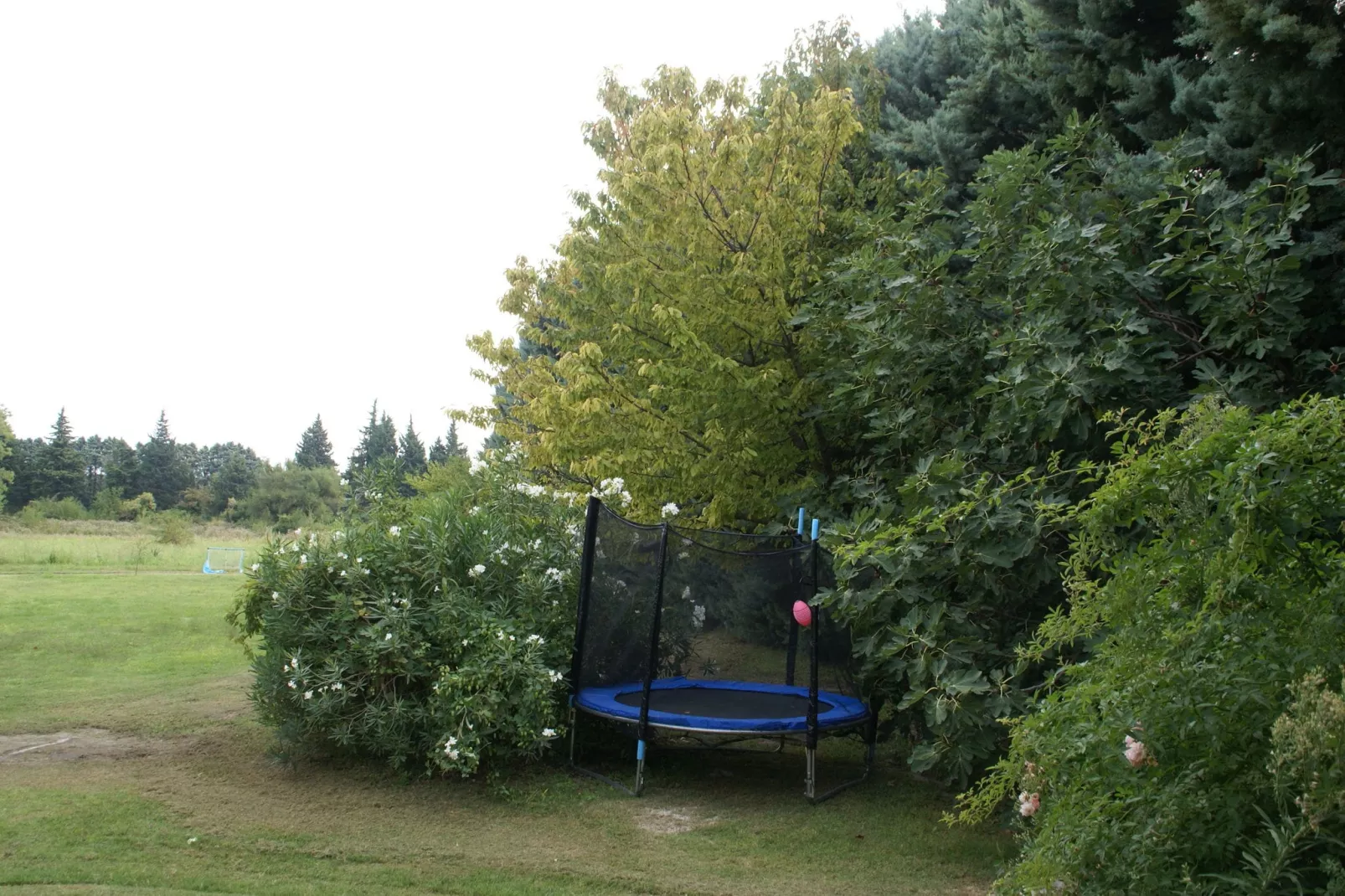 Maison de vacances Le Thor-Gardens summer