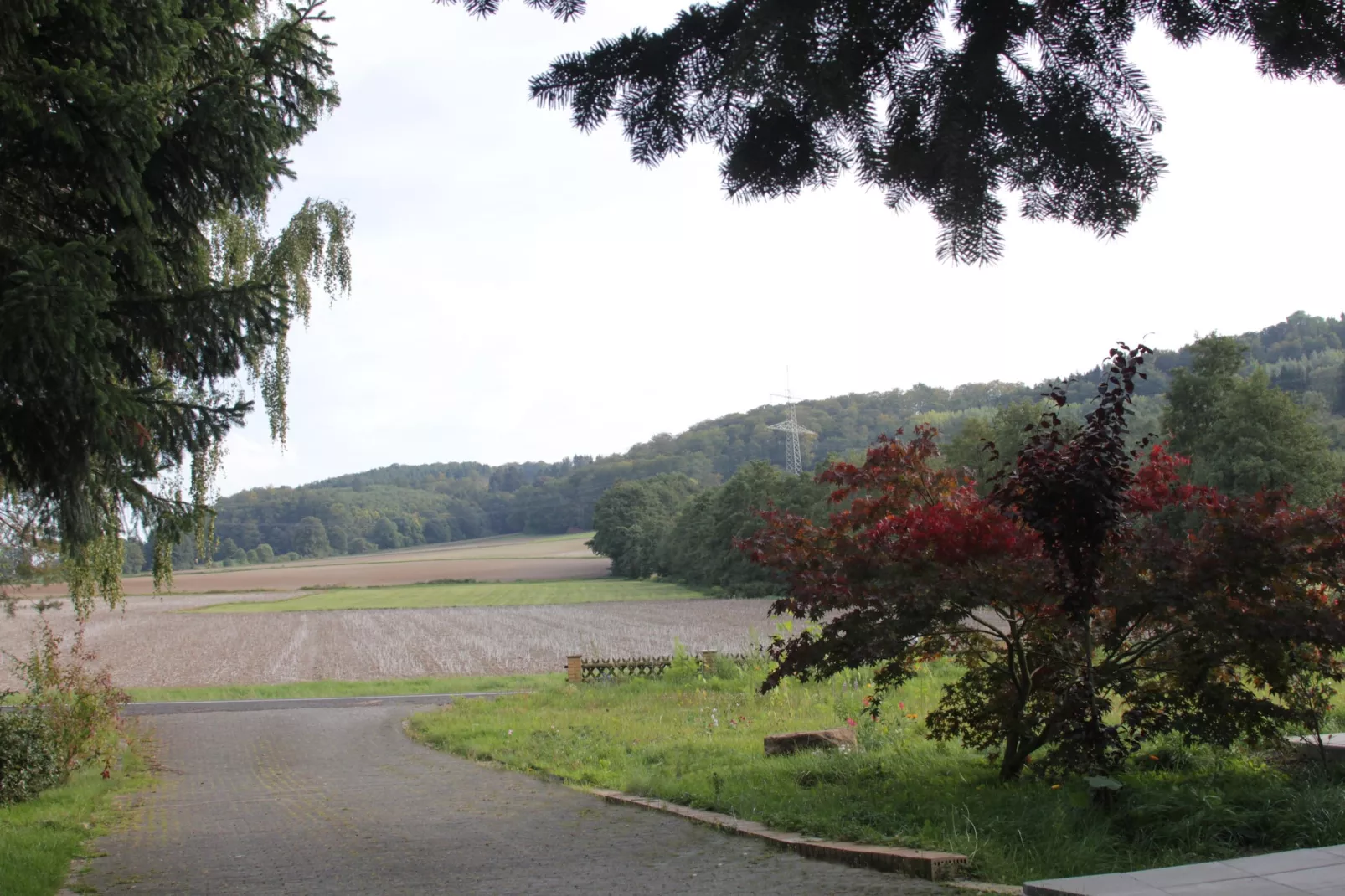 Gästehaus Kühne Fewo 2 DG-Vue d'été