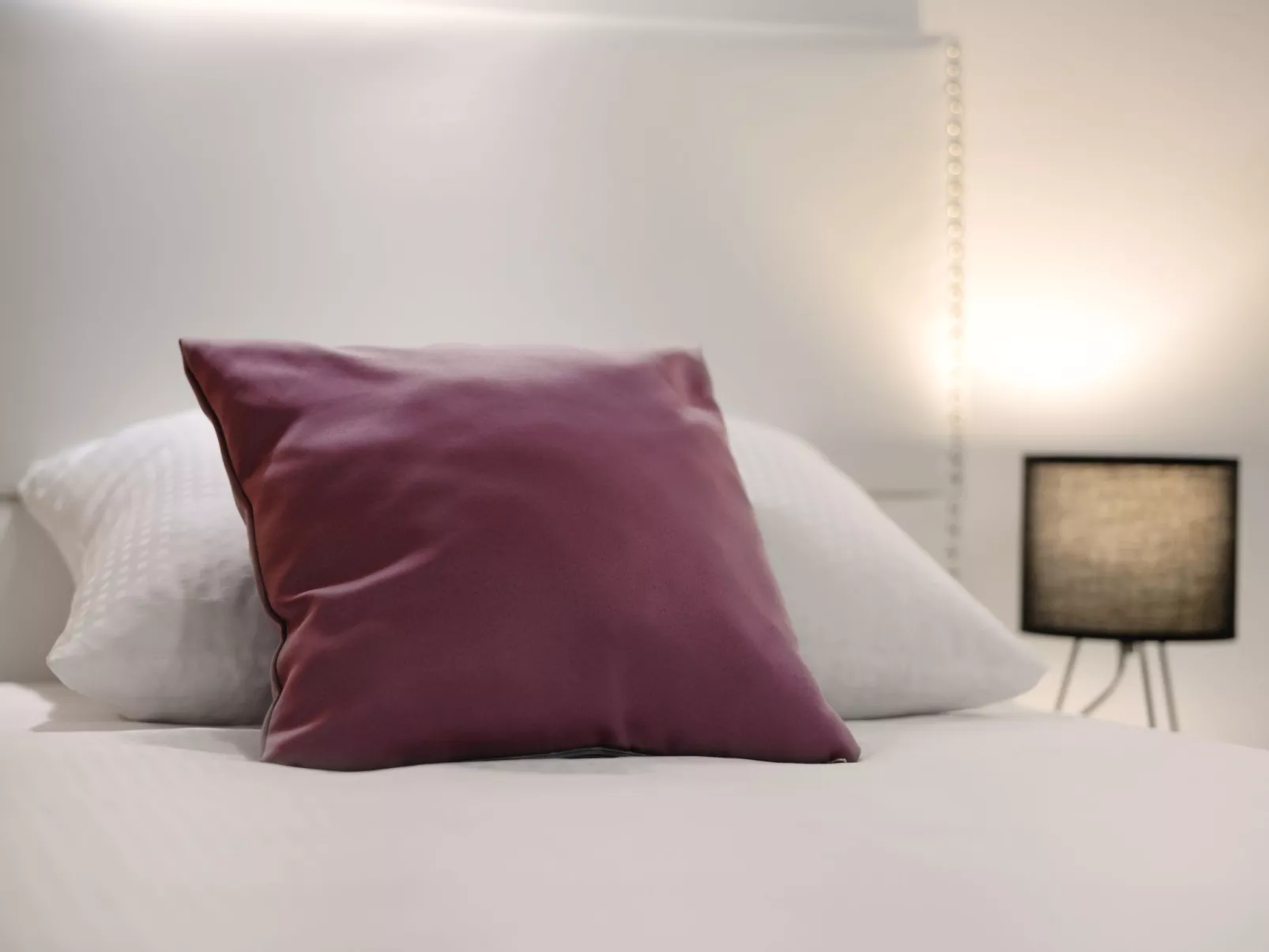 Premium DC apartment Osijek - Dedans