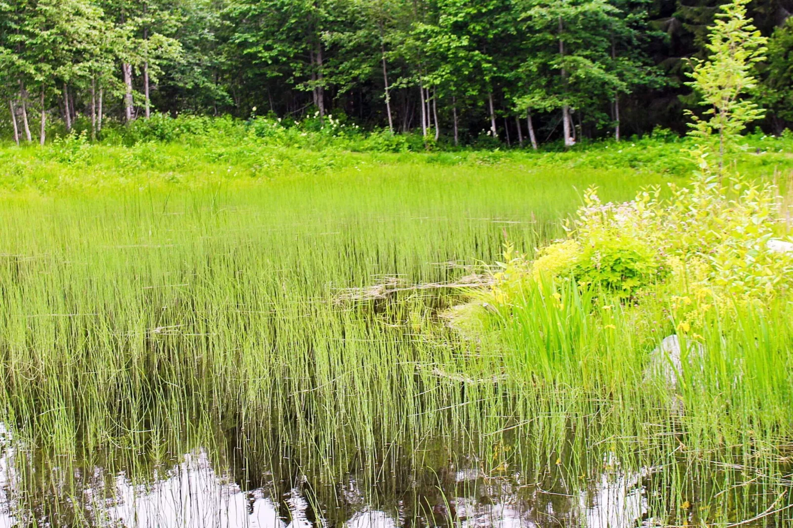 9 person holiday home in KÄLARNE-Outdoor