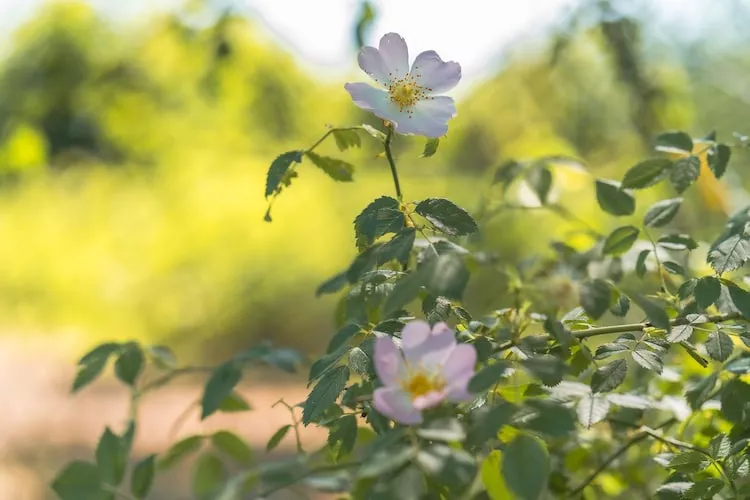 Sommerhus-nordlys 80 qm-Zones été à 1 km