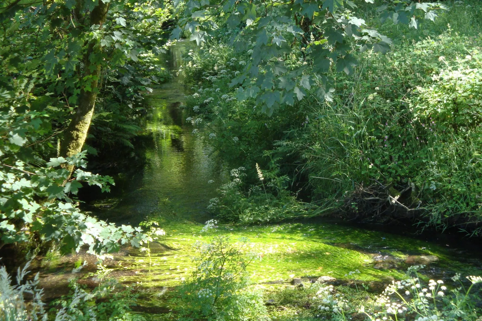 Giles-Areas summer 1km