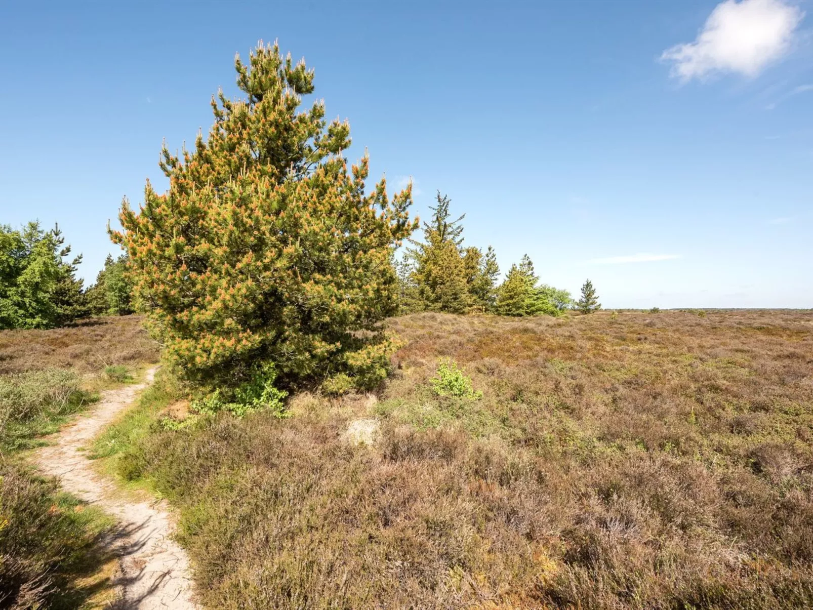 "Atti" - 2.5km from the sea - Dehors