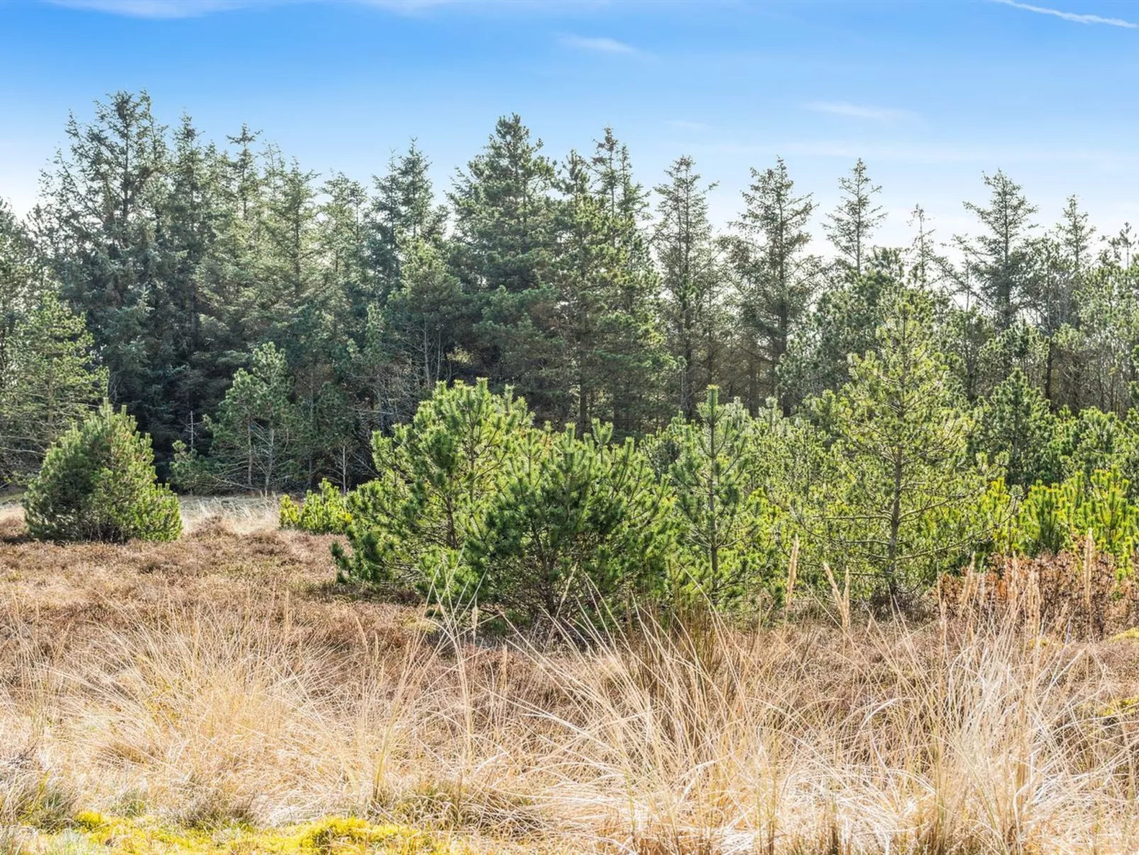 "Vappu" - 400m to the fjord-Outside