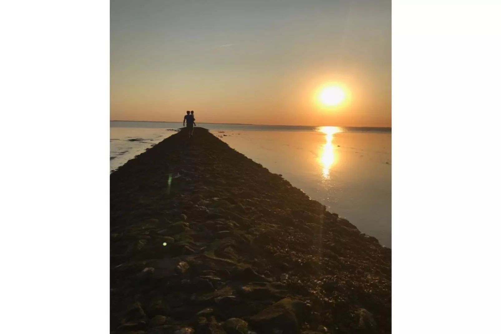 242843-Areas within 5km in summer