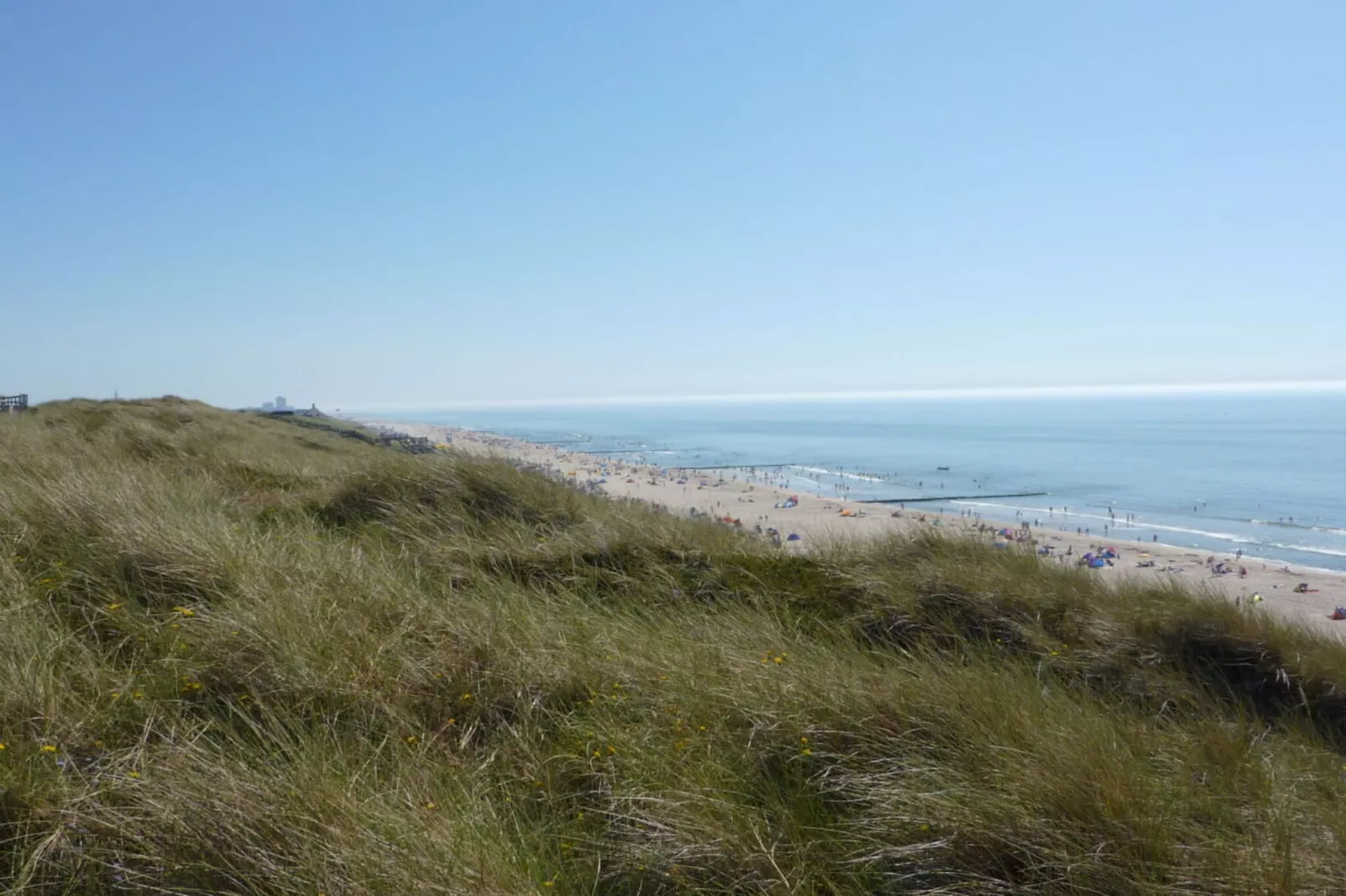 104214-Areas within 5km in summer