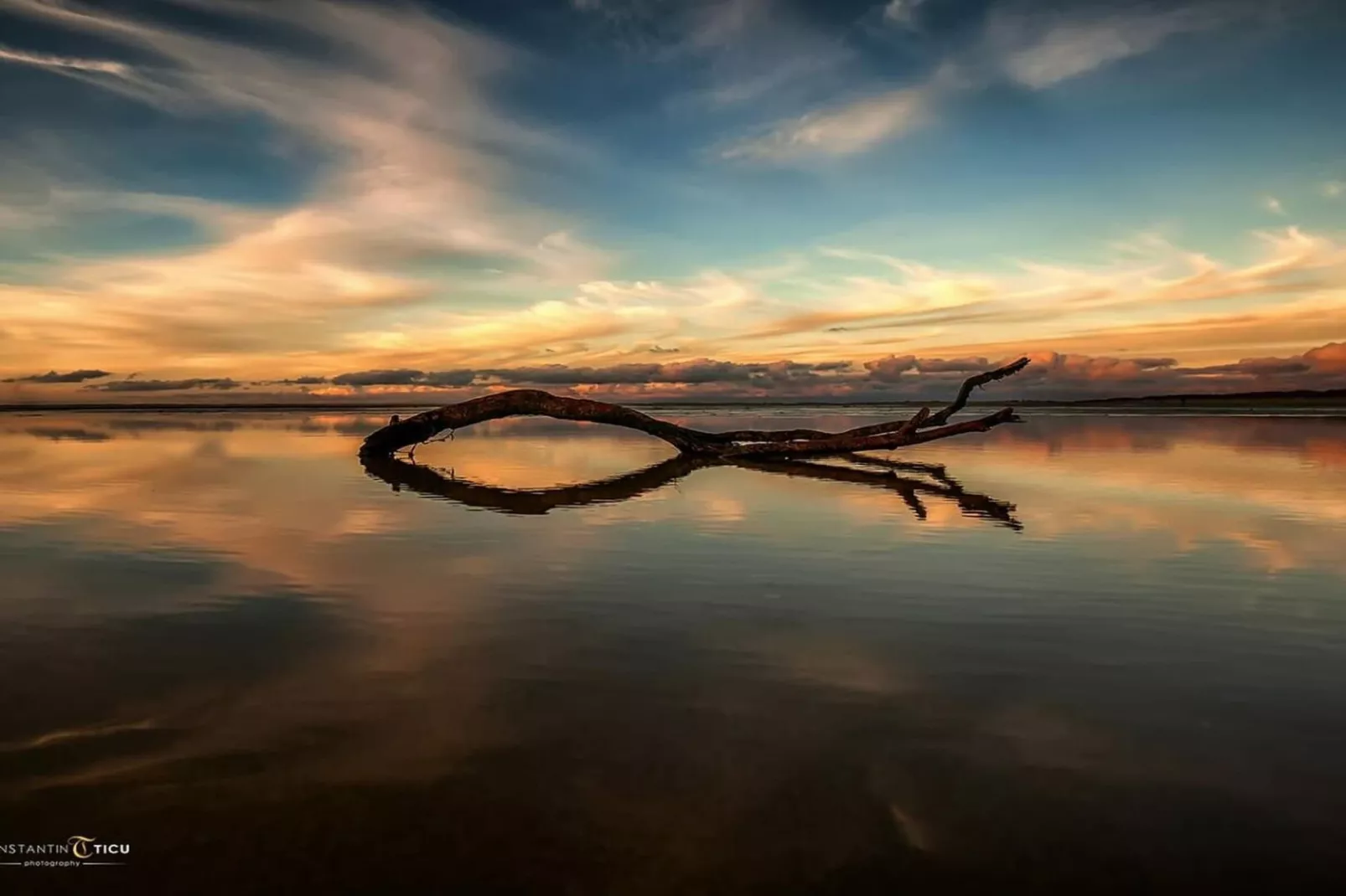 67705-Areas within 5km in summer