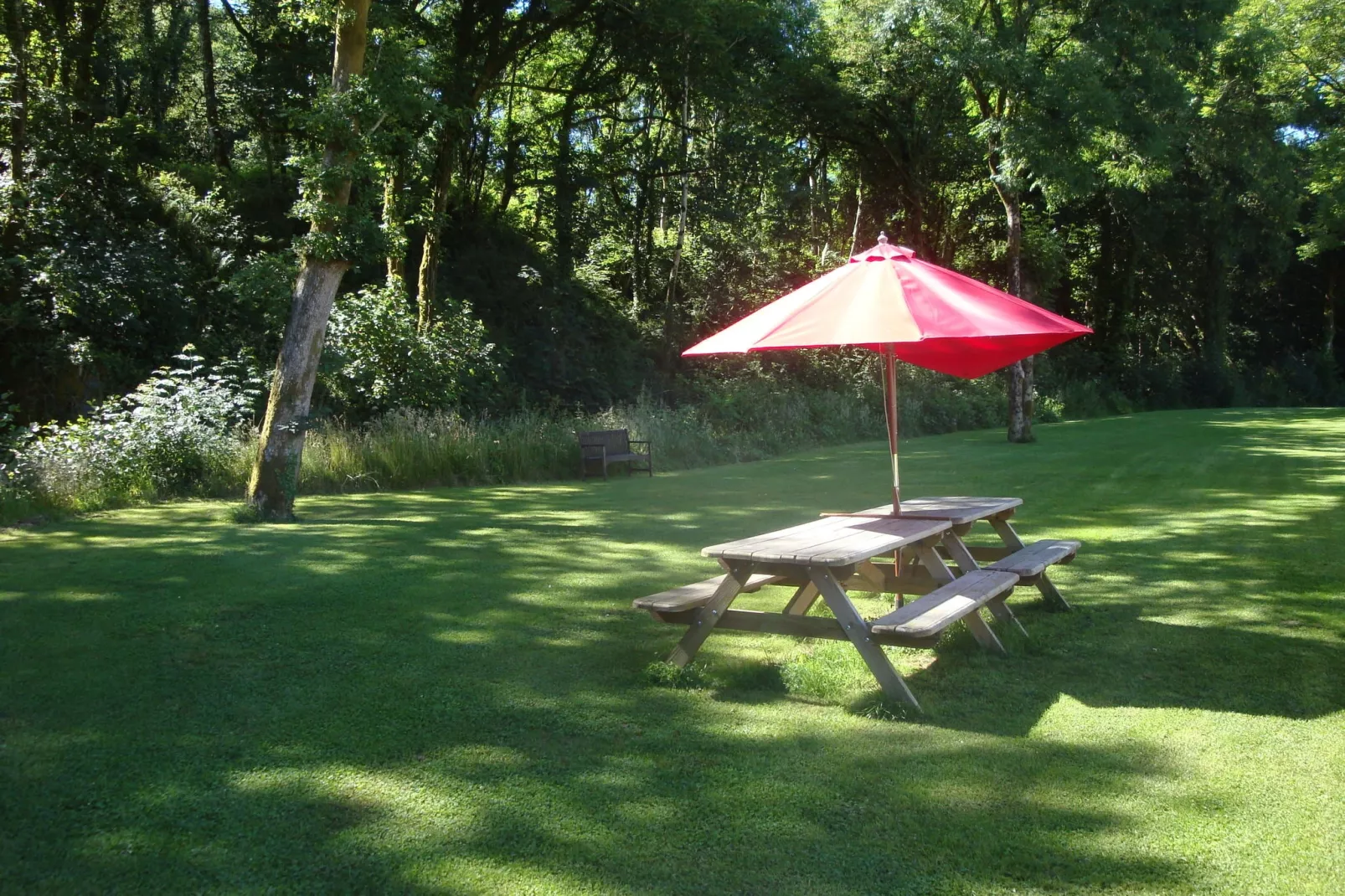 Ida-Gardens summer