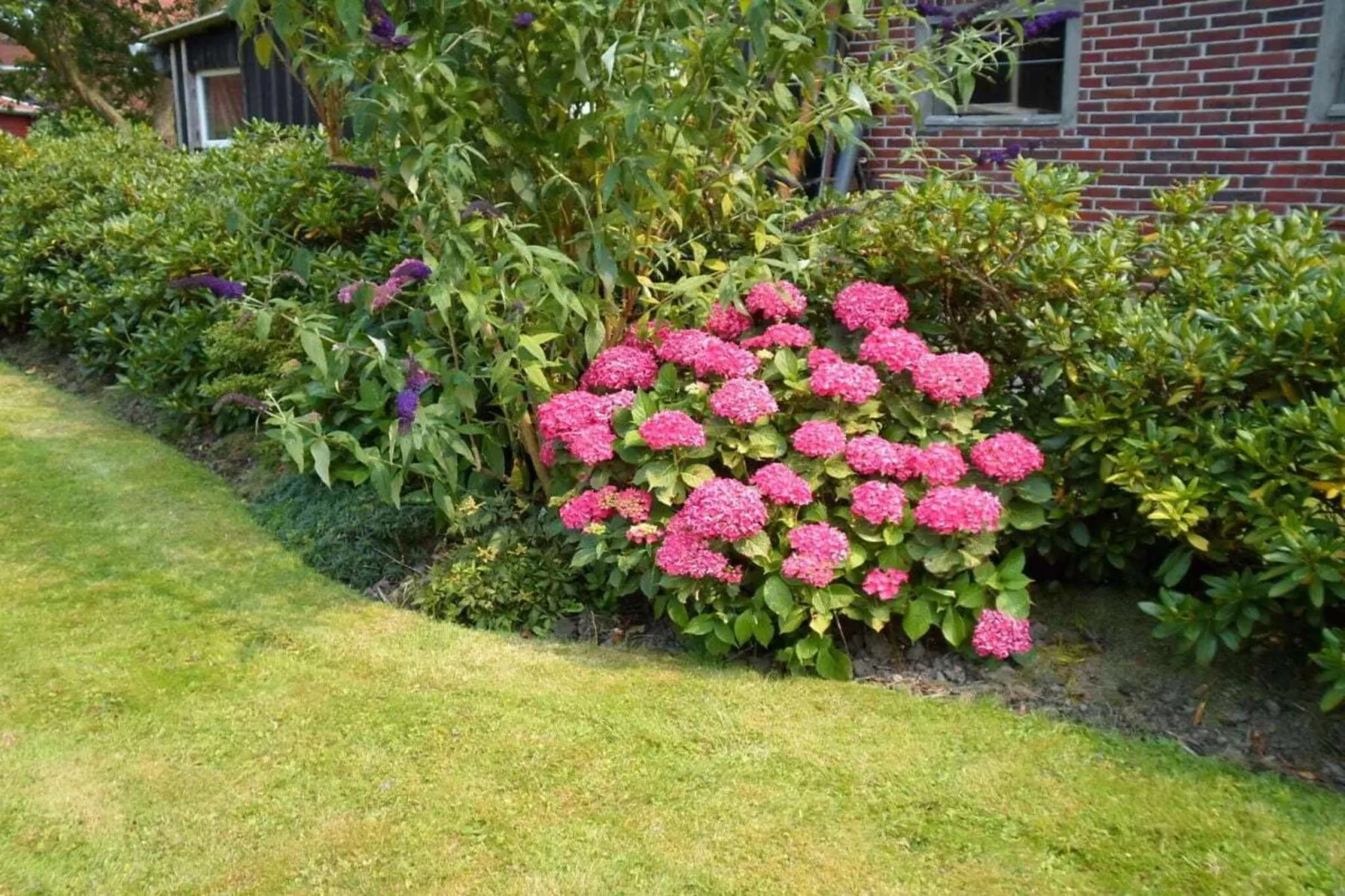 192494-Exterior in summer