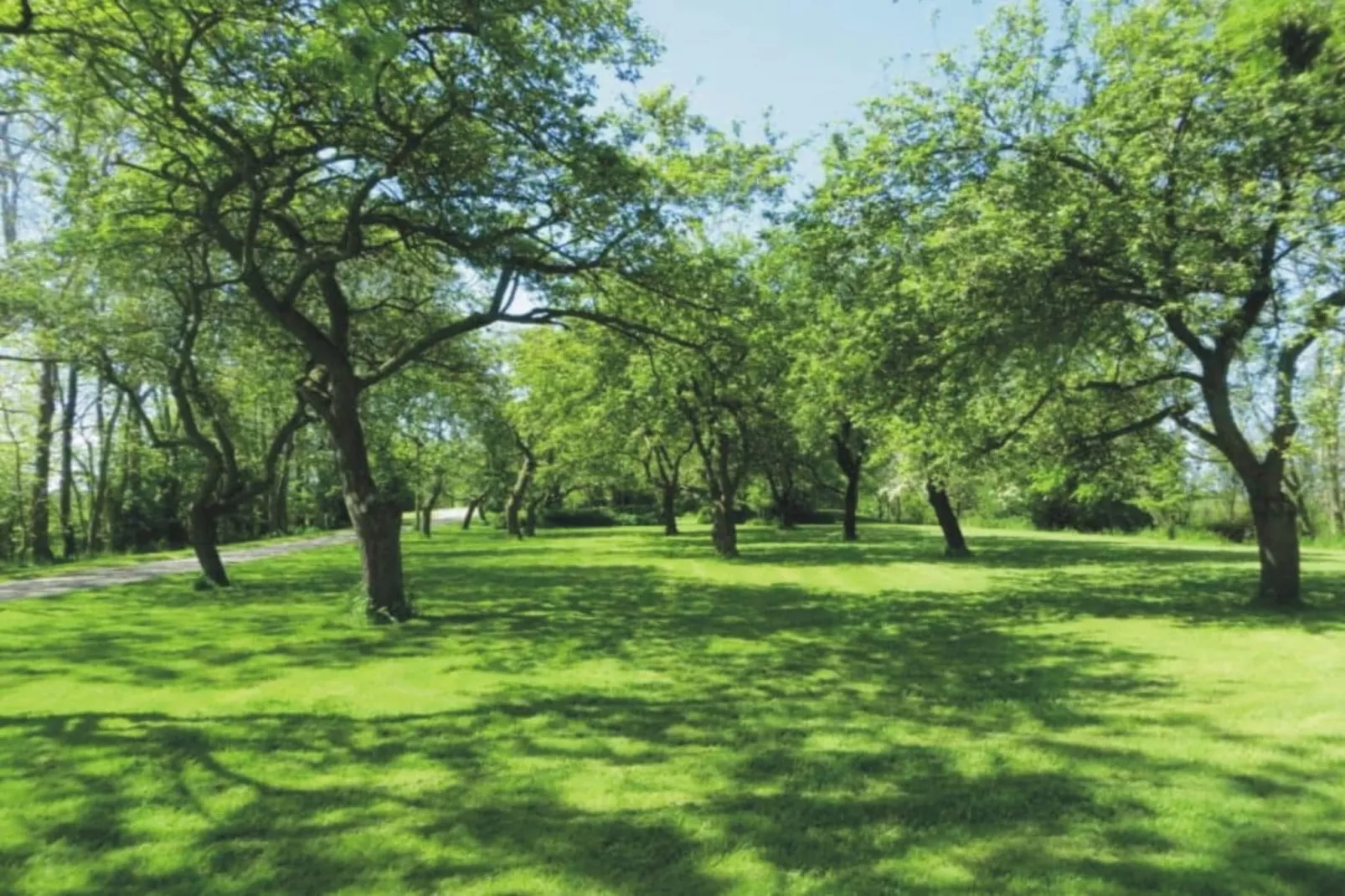 184619-Gardens in summer