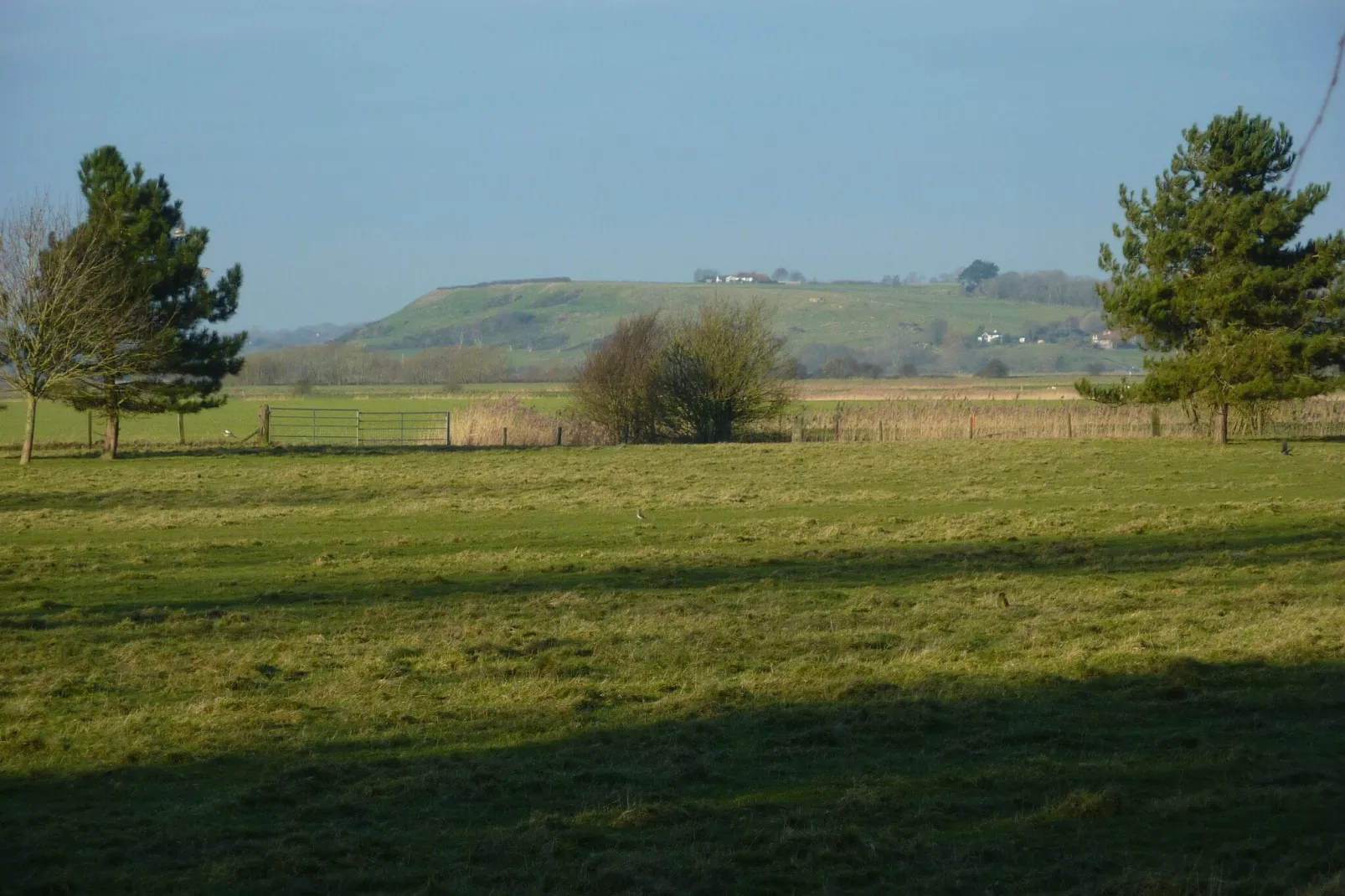 New Puddledock-View summer