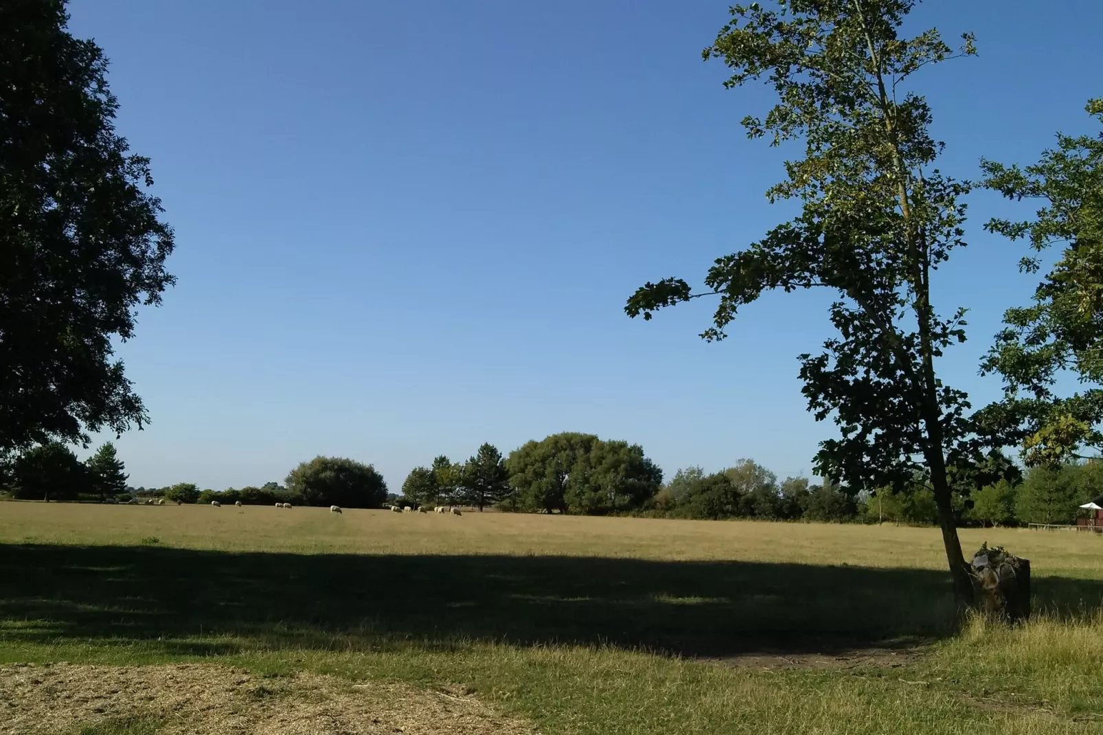 New Puddledock-View summer