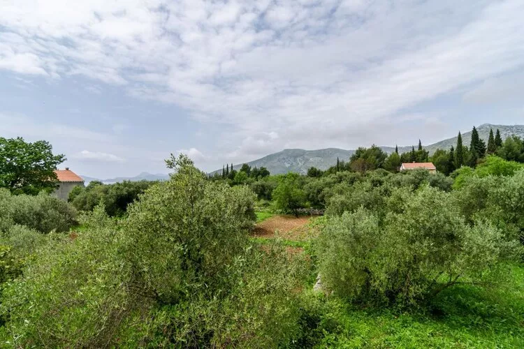 Guest House Kola - Standard Double Room with Balcony-Vue