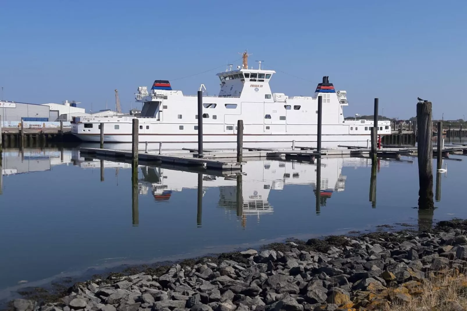 479985 - Areas within 5km in summer