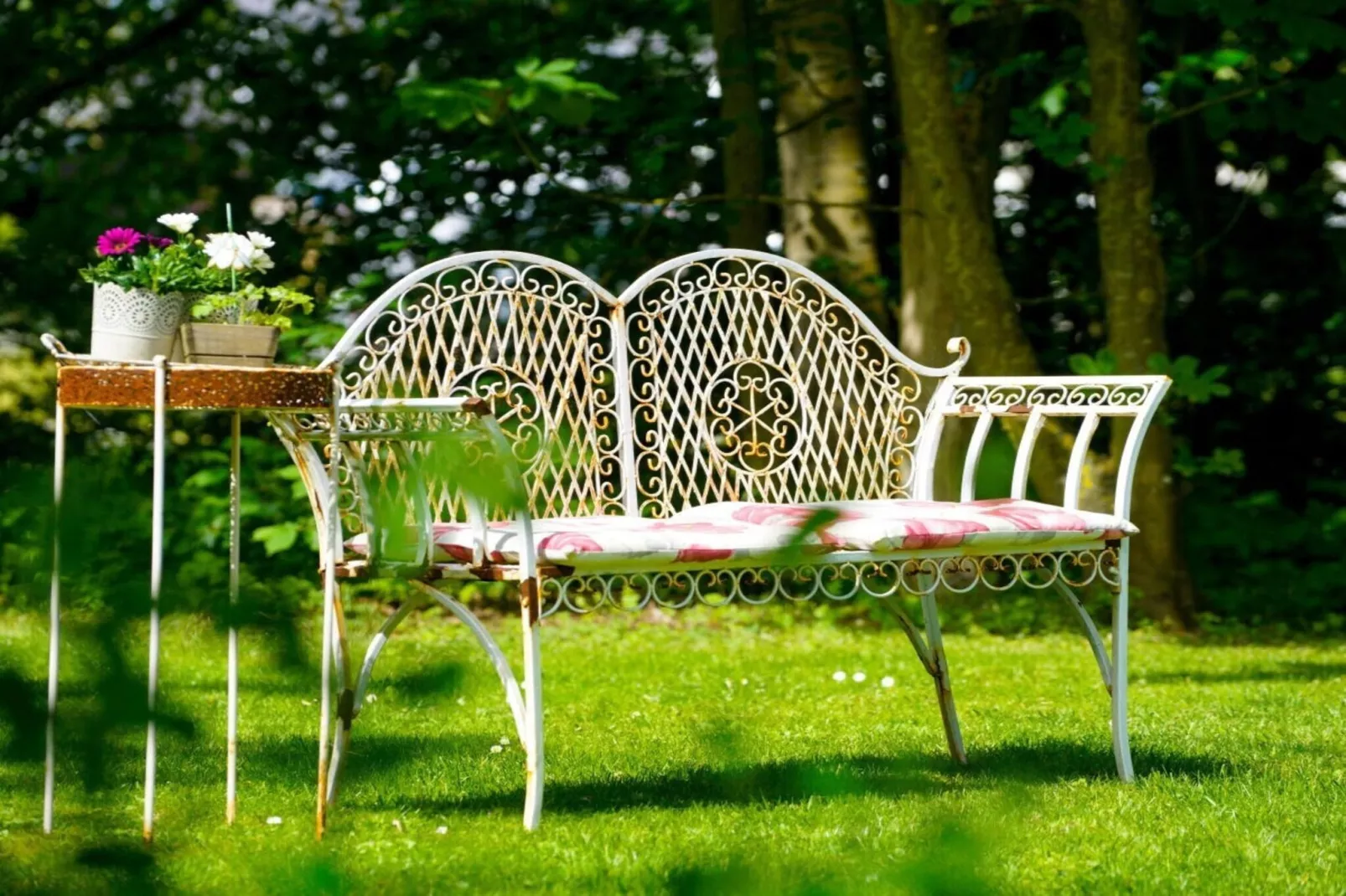 604282 - Gardens in summer