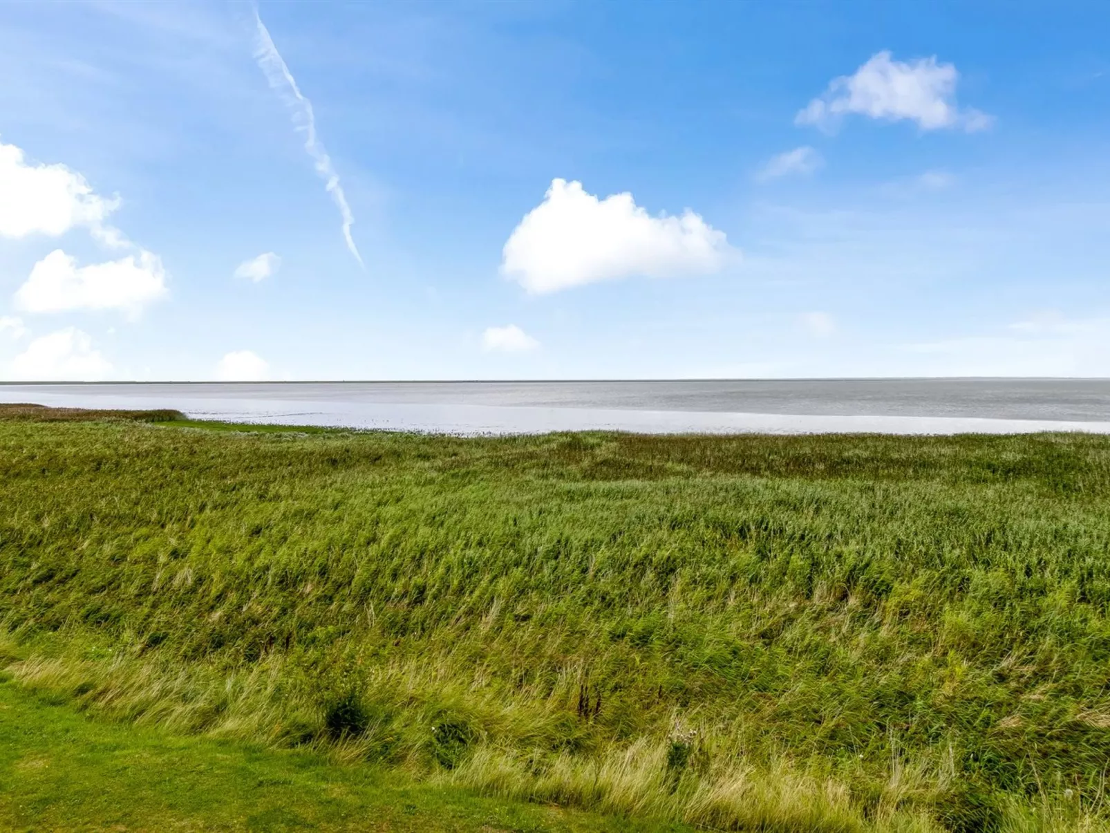 "Auwe" - 3.5km from the sea-Draußen