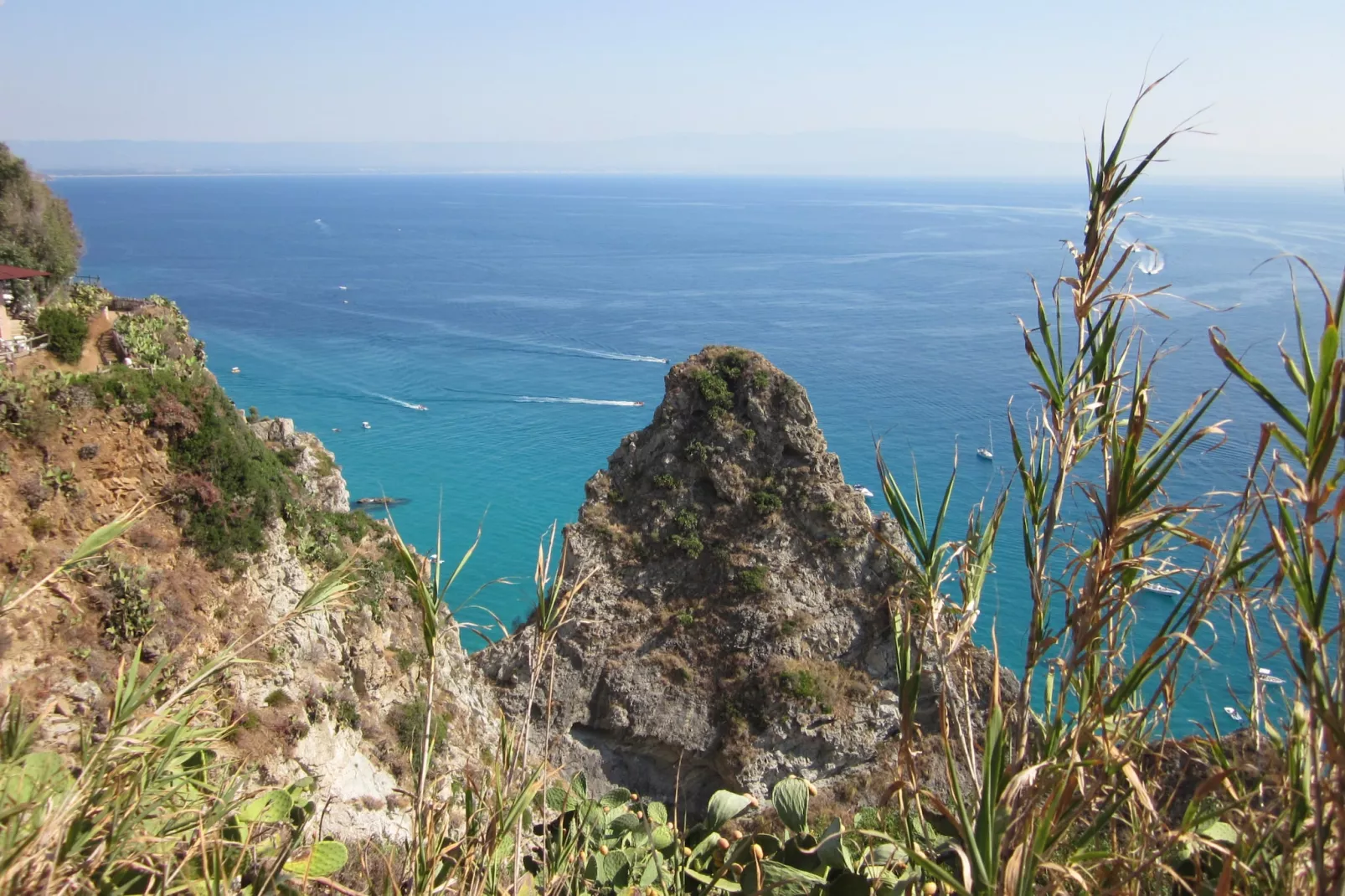 Cipolla Rossa-Areas within 1km in summer