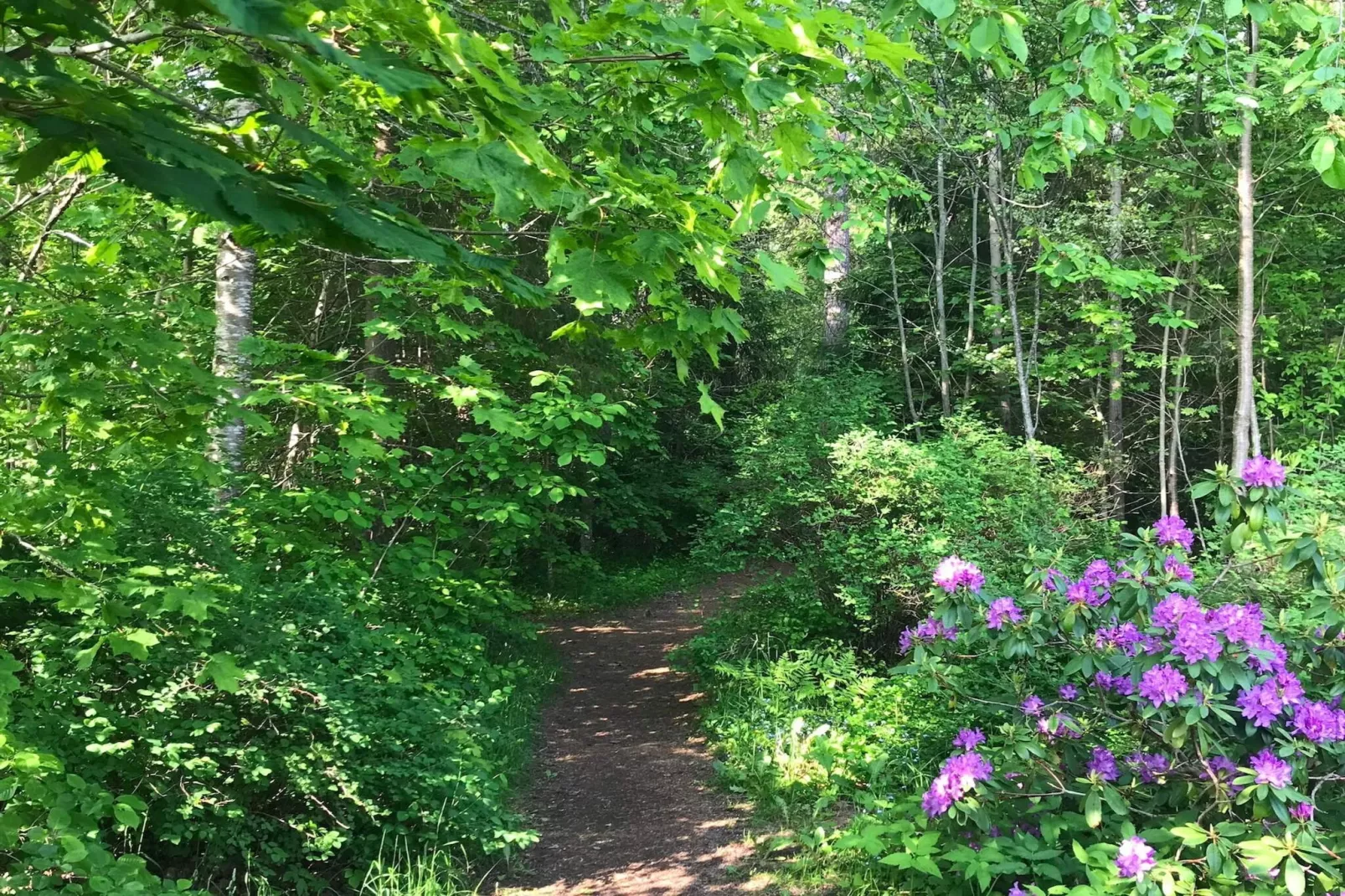 4 etoiles maison de vacances a KNIVSTA-Non tagué