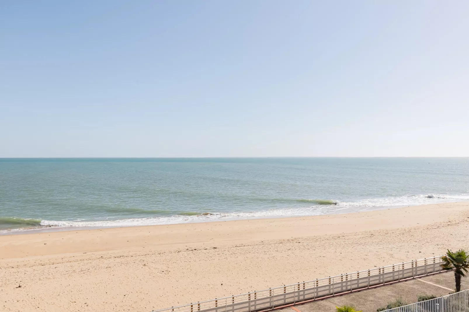 L Ocean N°36 - 2P2-Areas within 1km in summer