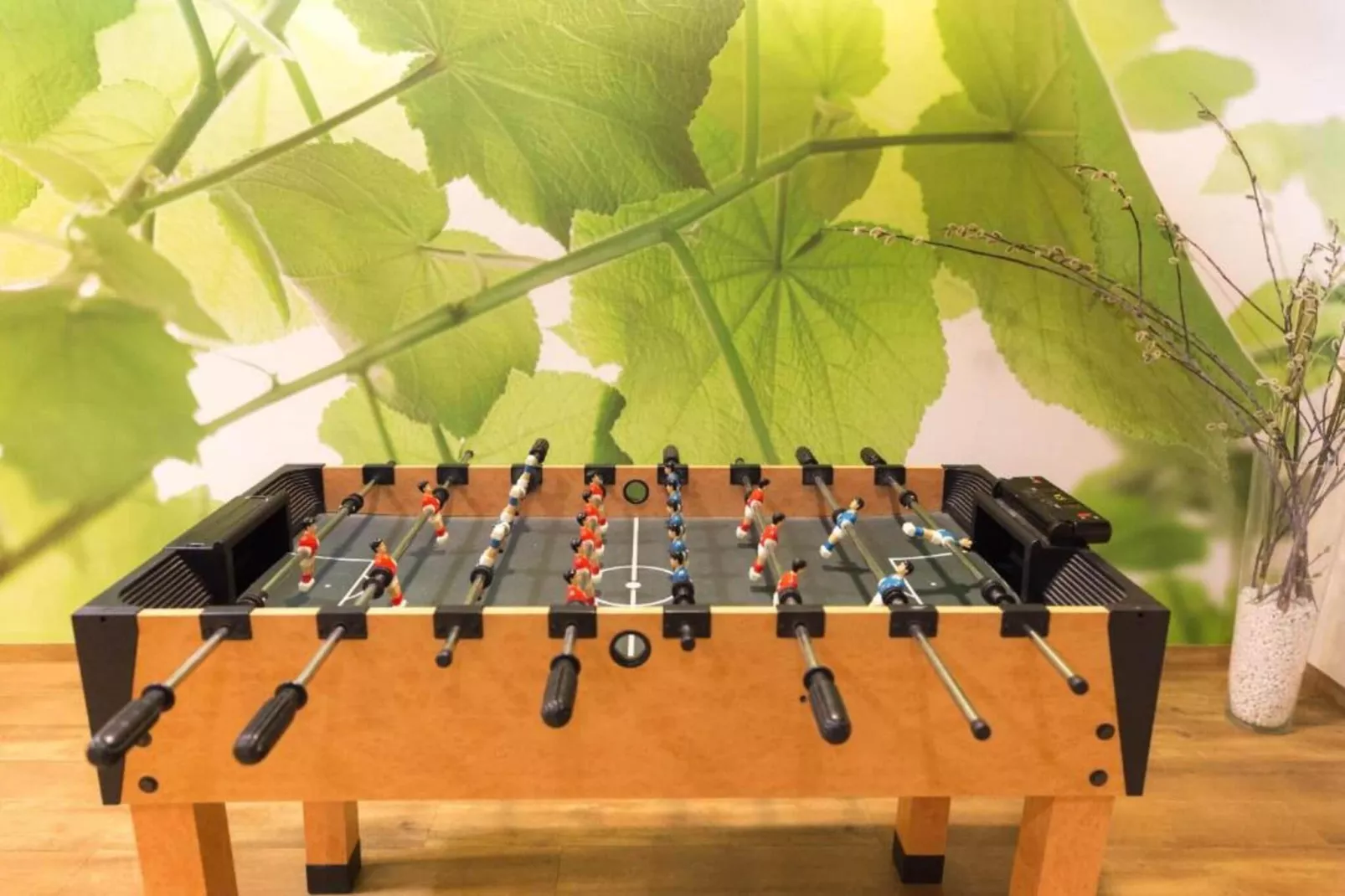 Wheelchair accessible Double Room-Salle de loisirs