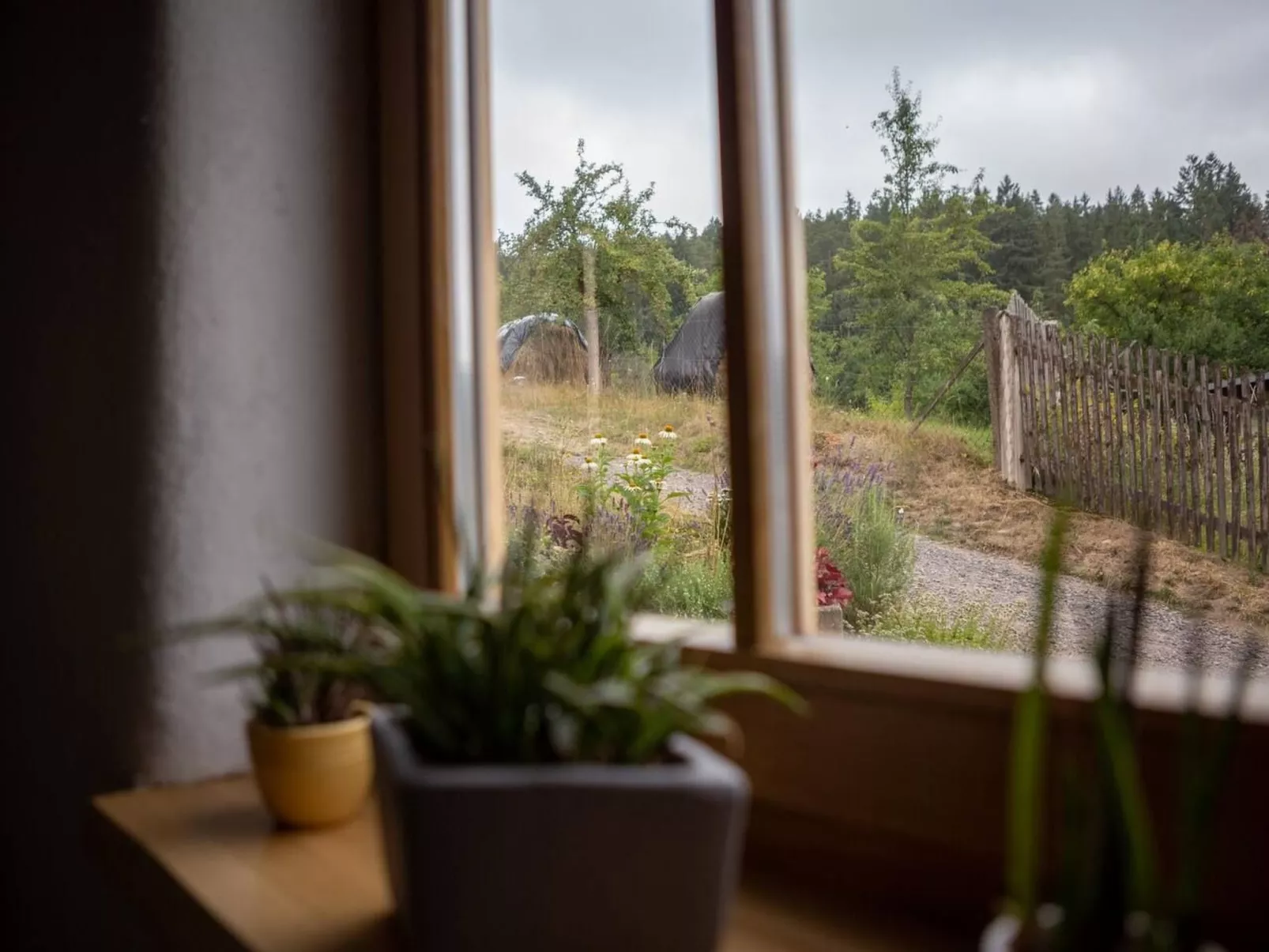 Komfortable Ferienwohnung in Paulinzella mit Großem Garten - Image-tags.info