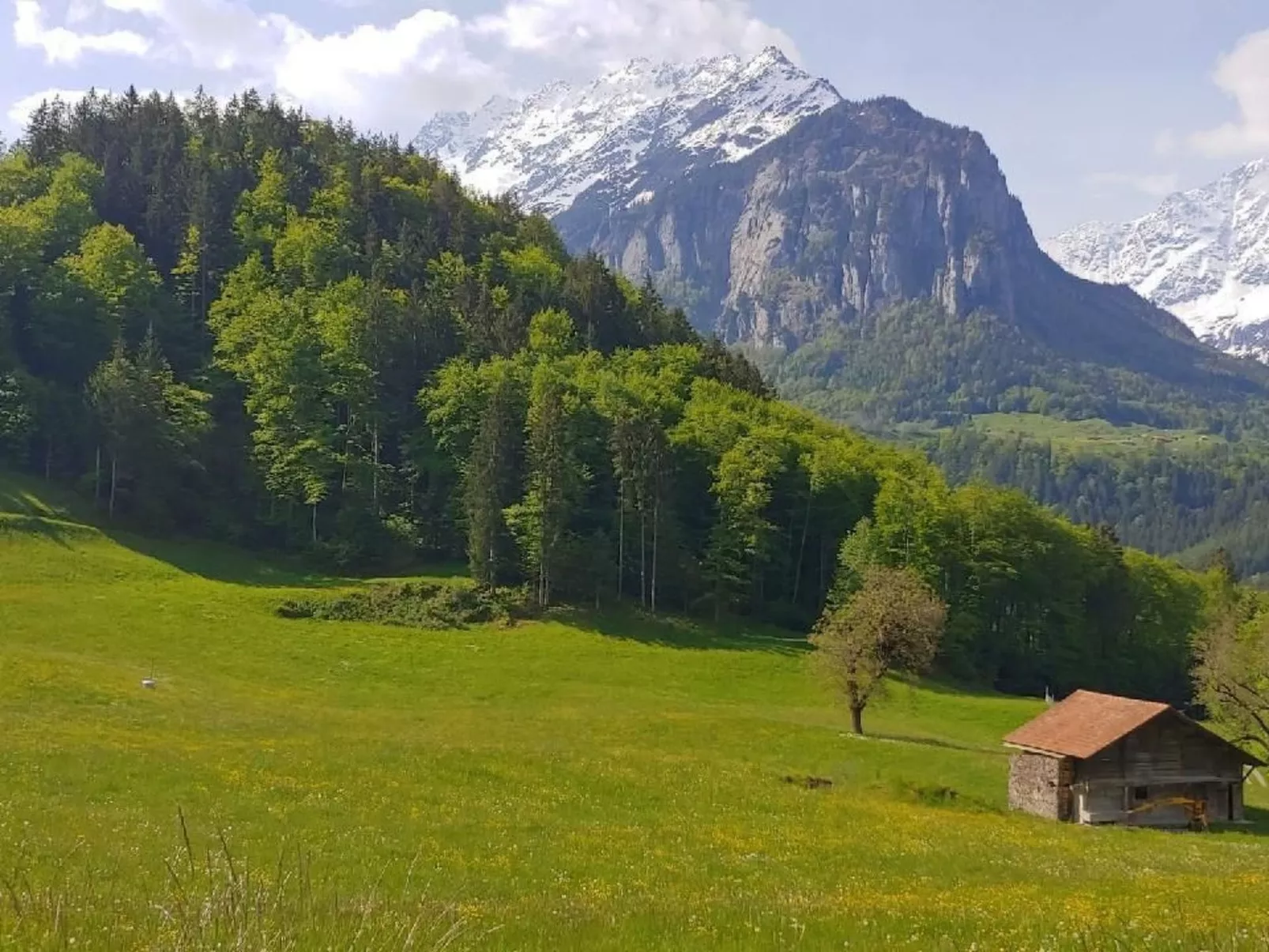 Wohnung mit 3 Schlafzimmern “Wylerdümen” - Image-tags.info