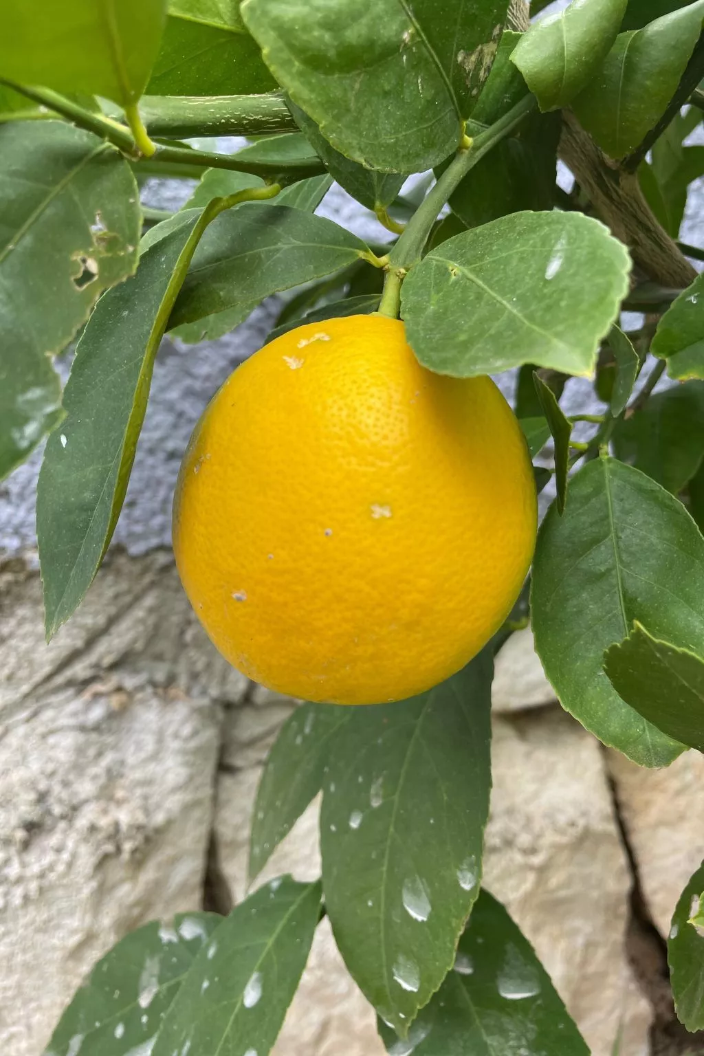 Stonehouse-Pag - Image-tags.info