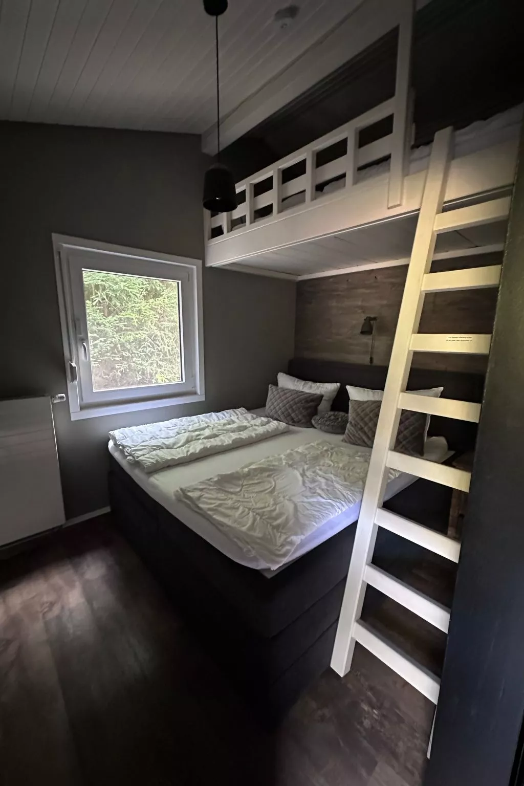 Bergwild - Image-tags.info