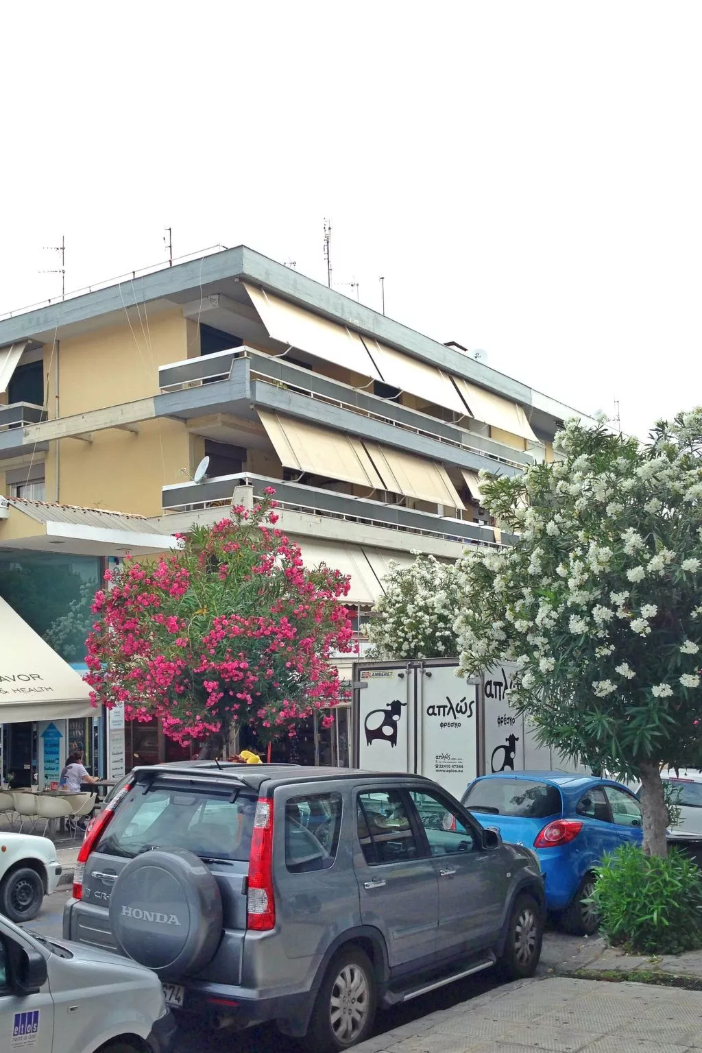 Einzigartige Wohnung auf Rhodos - Image-tags.info