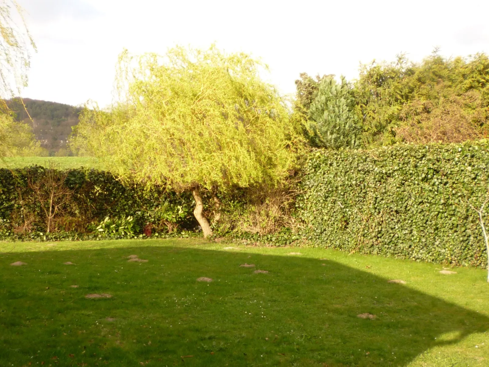 Kontor - Image-tags.info