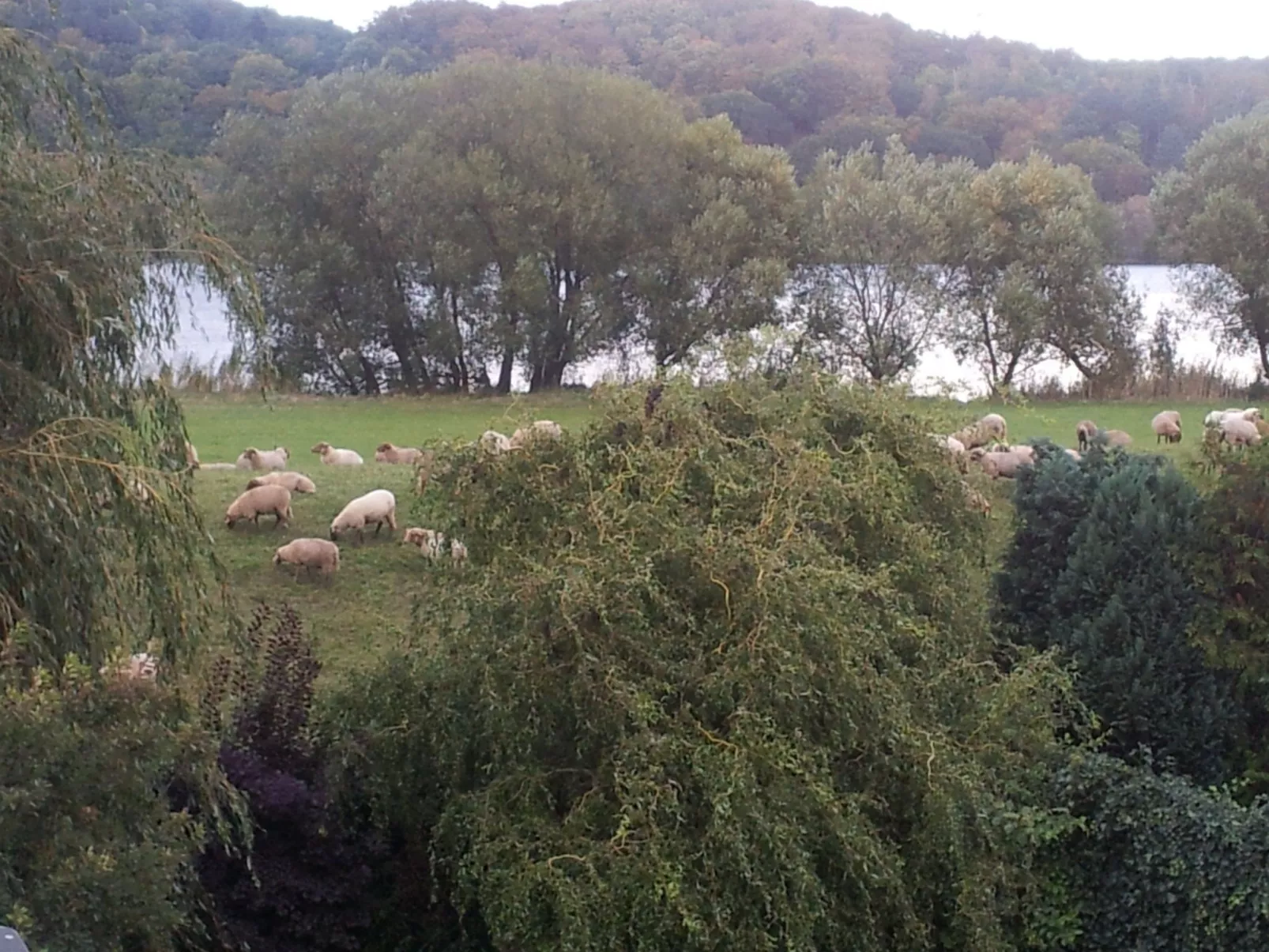 Elbufer 4B - Image-tags.info