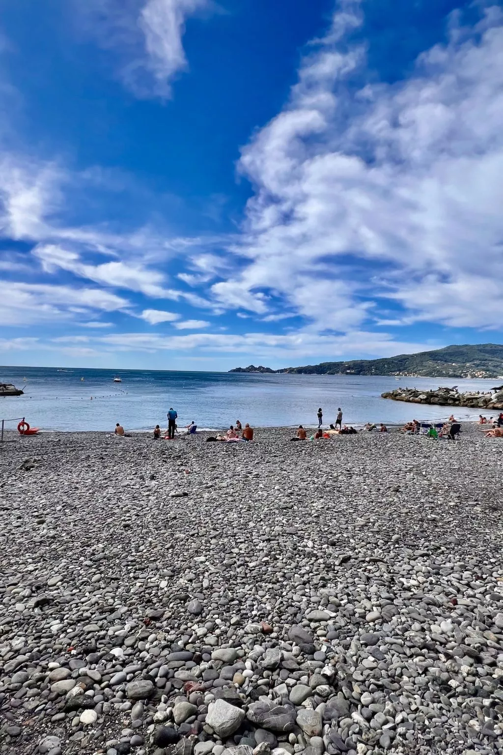 Pitosforo - Image-tags.info