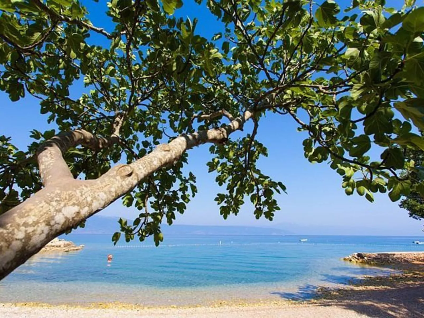 Villa "Oleandar" mit Schwimmbad und Meerblick - Image-tags.info