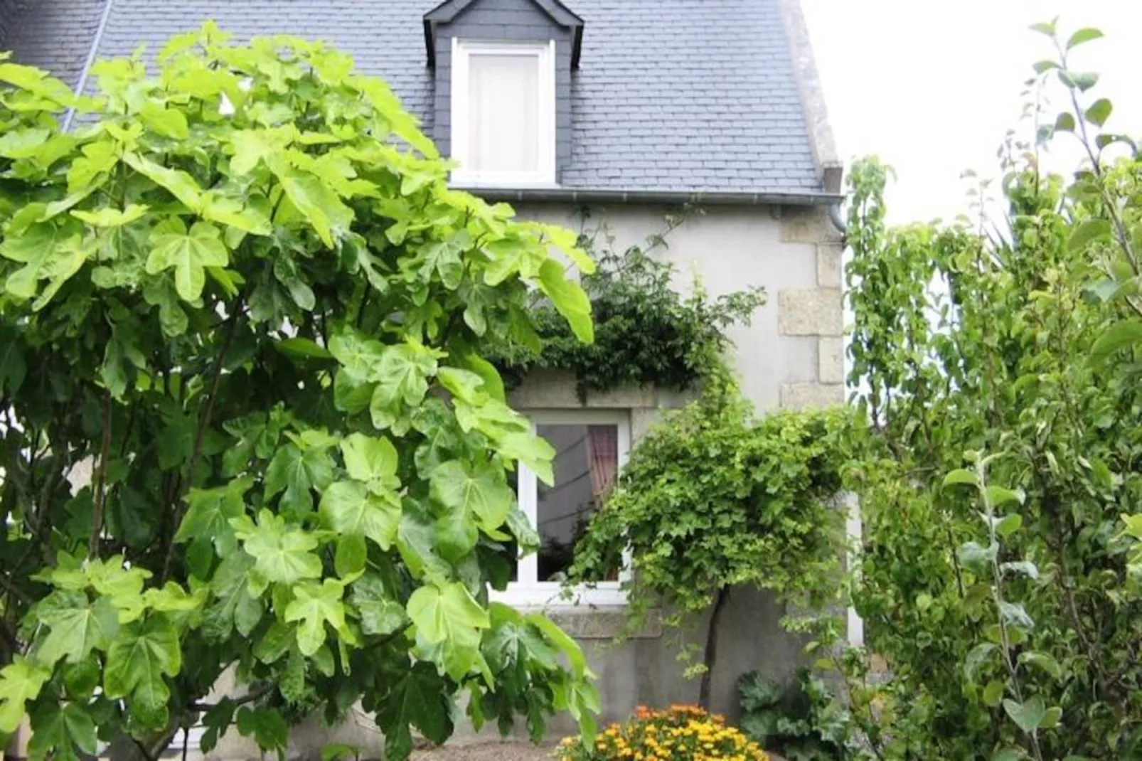 Résidence D09-tregastel - Untagged