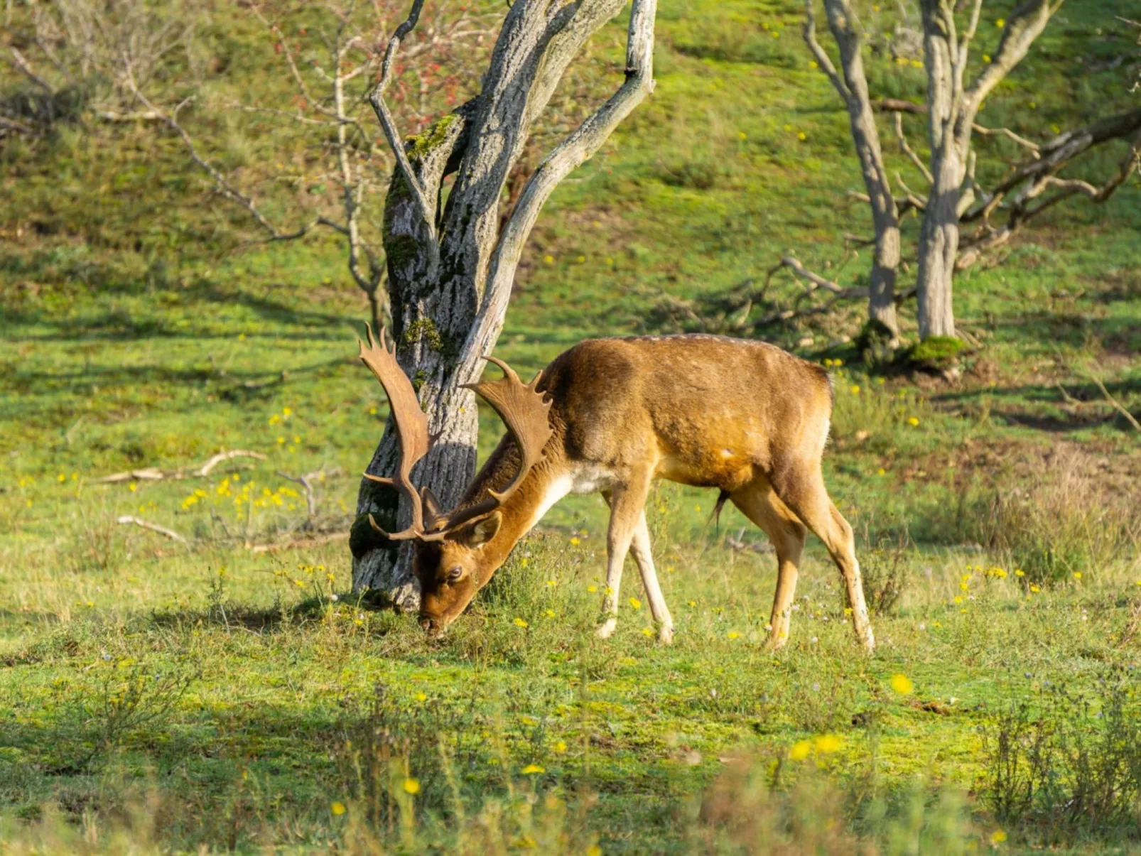Bloem 'n Zee - Draußen