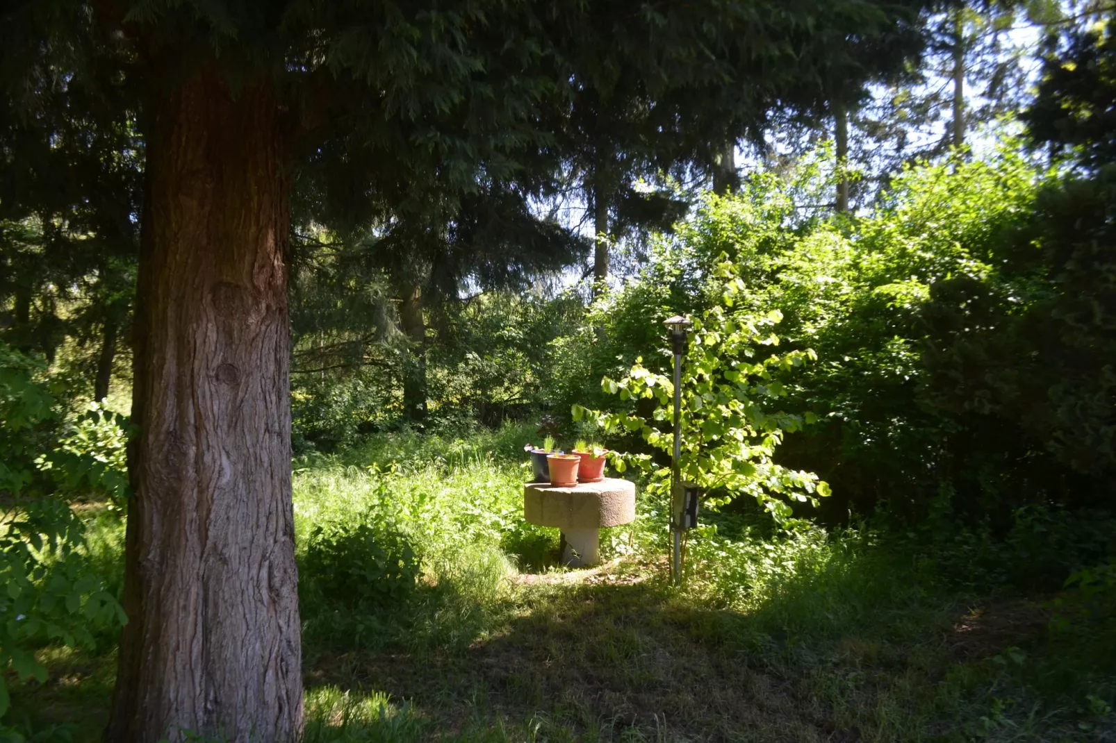 Gästehaus Kühne Fewo 1 OG-Jardins en été