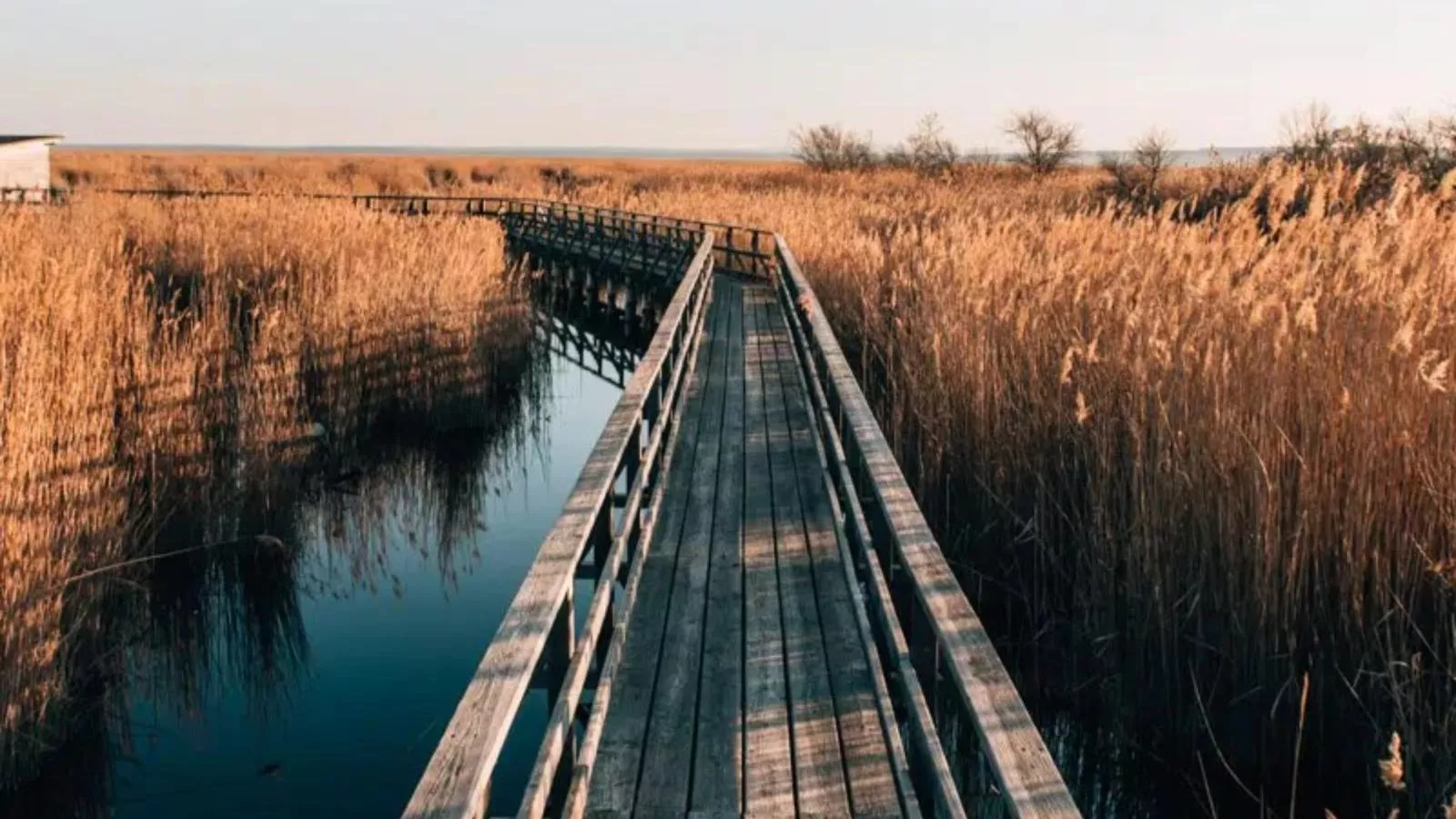 Guesthouse Naturgarten - Gebiete Sommer 5 km