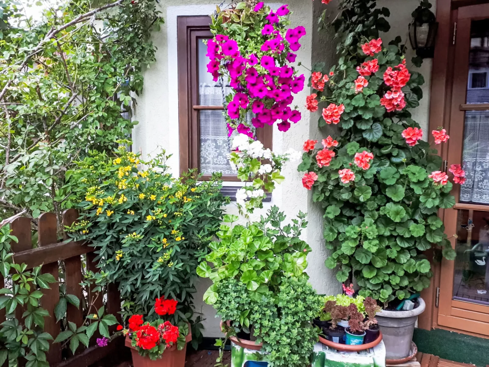 Wieshammer - Drinnen