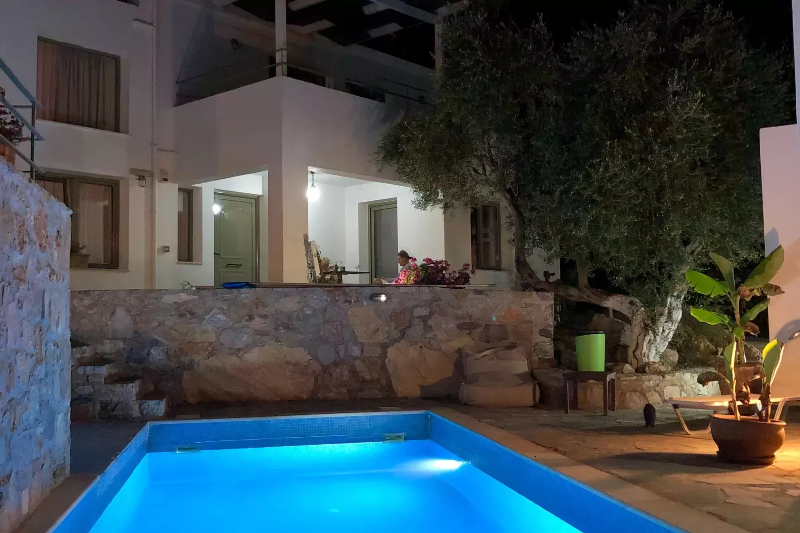 Mourtzanakis Eco Residence Achlada - Villa-Pool