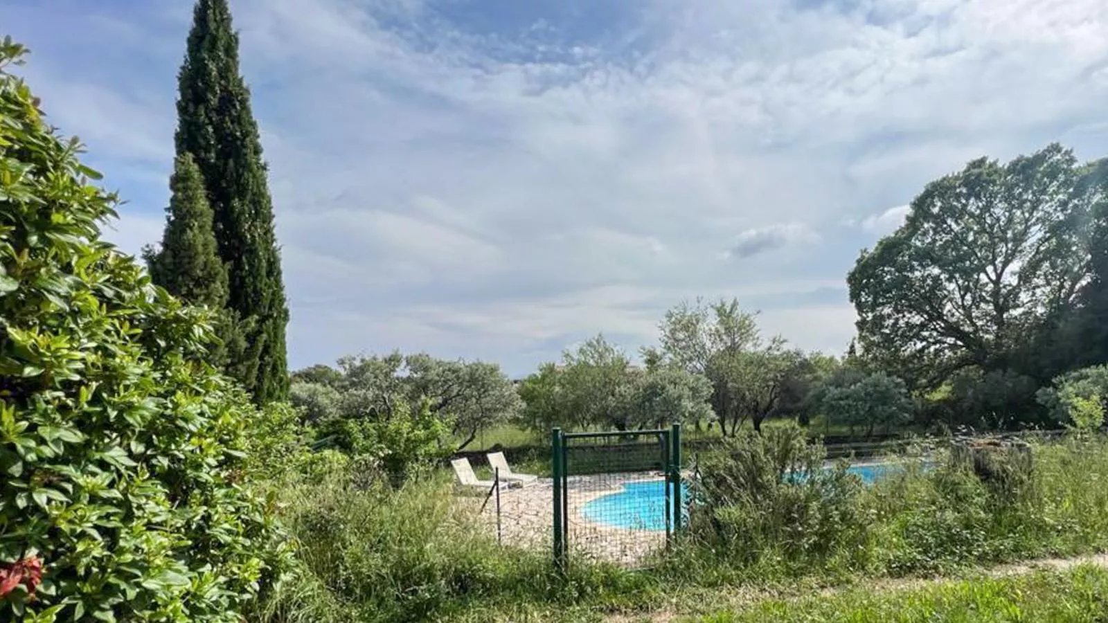 Ricavy - Garten Sommer