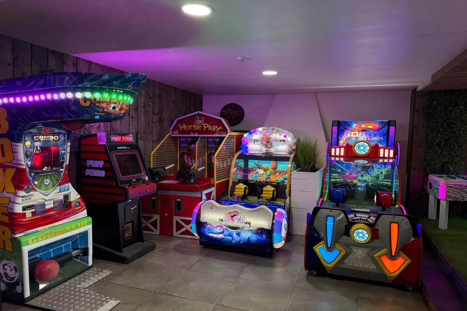 La Maison des Fleurs-Salle de loisirs