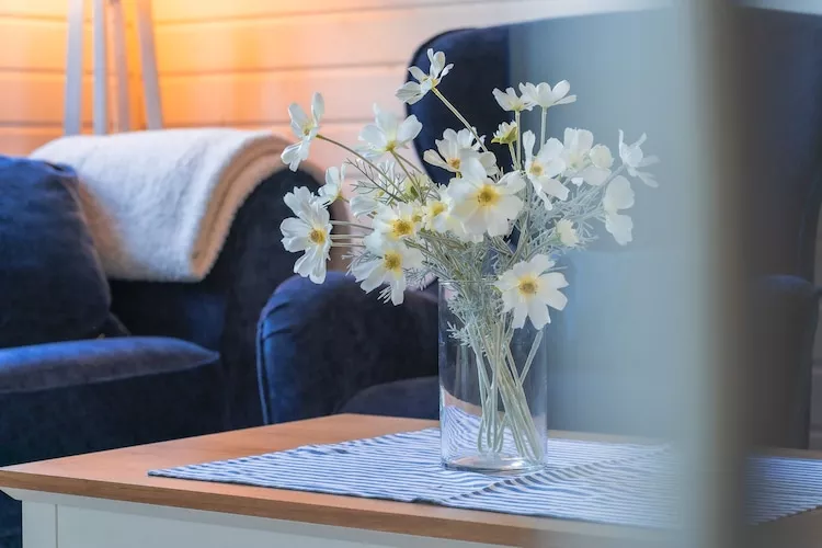 Ferienhaus Strandblick-Ambiance