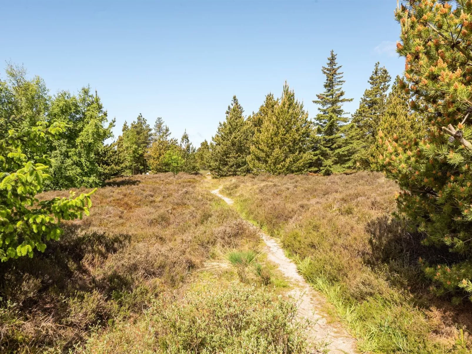 "Atti" - 2.5km from the sea - Dehors