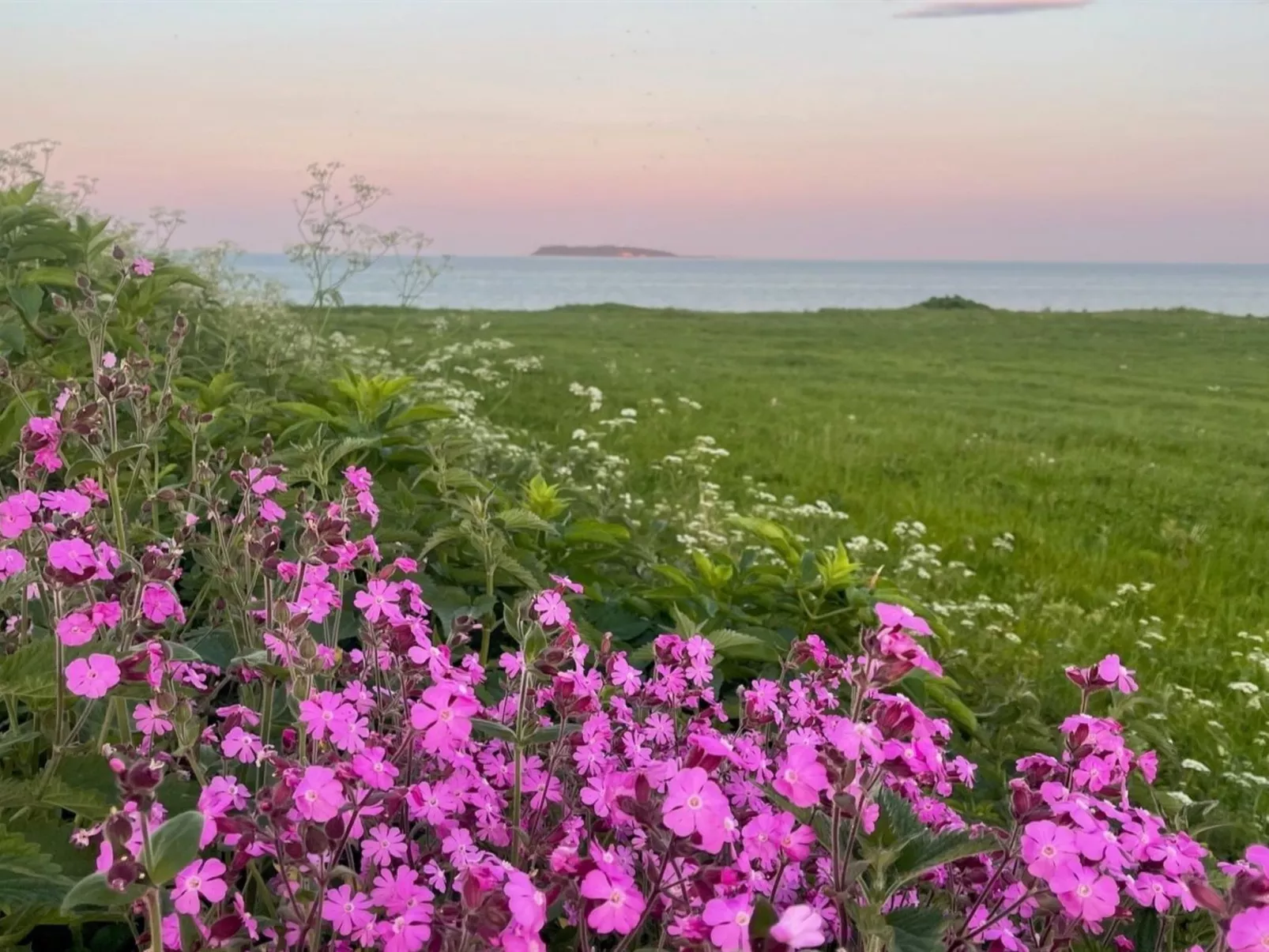 "Lilla" - 120m from the sea - Draußen