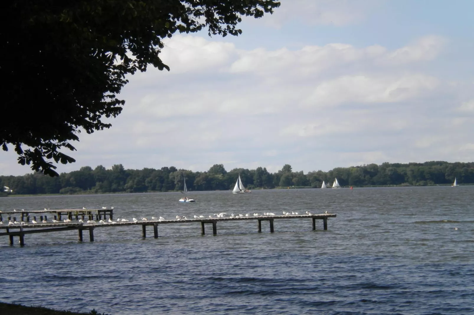 242843-Areas within 5km in summer