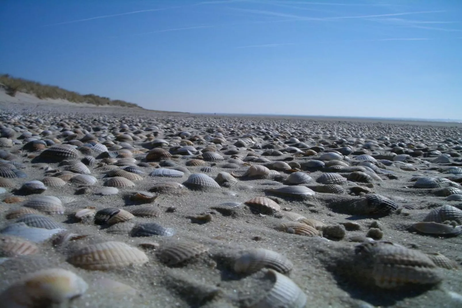 249875-Gebiete Sommer 5 km