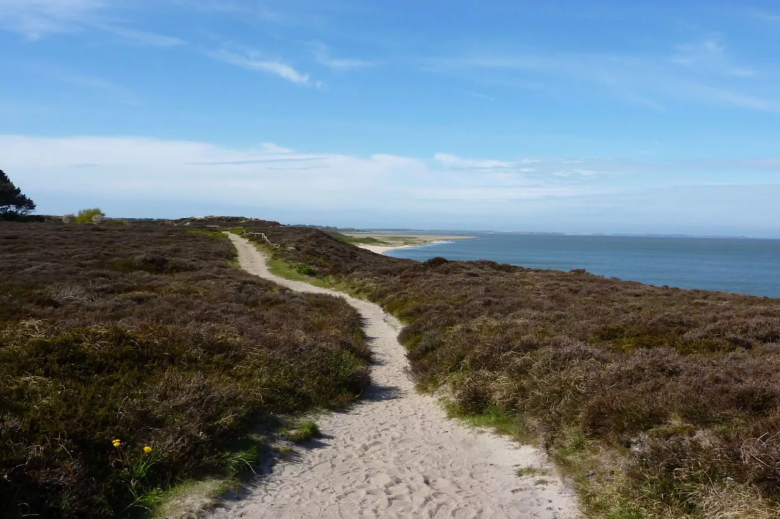 104214-Areas within 5km in summer